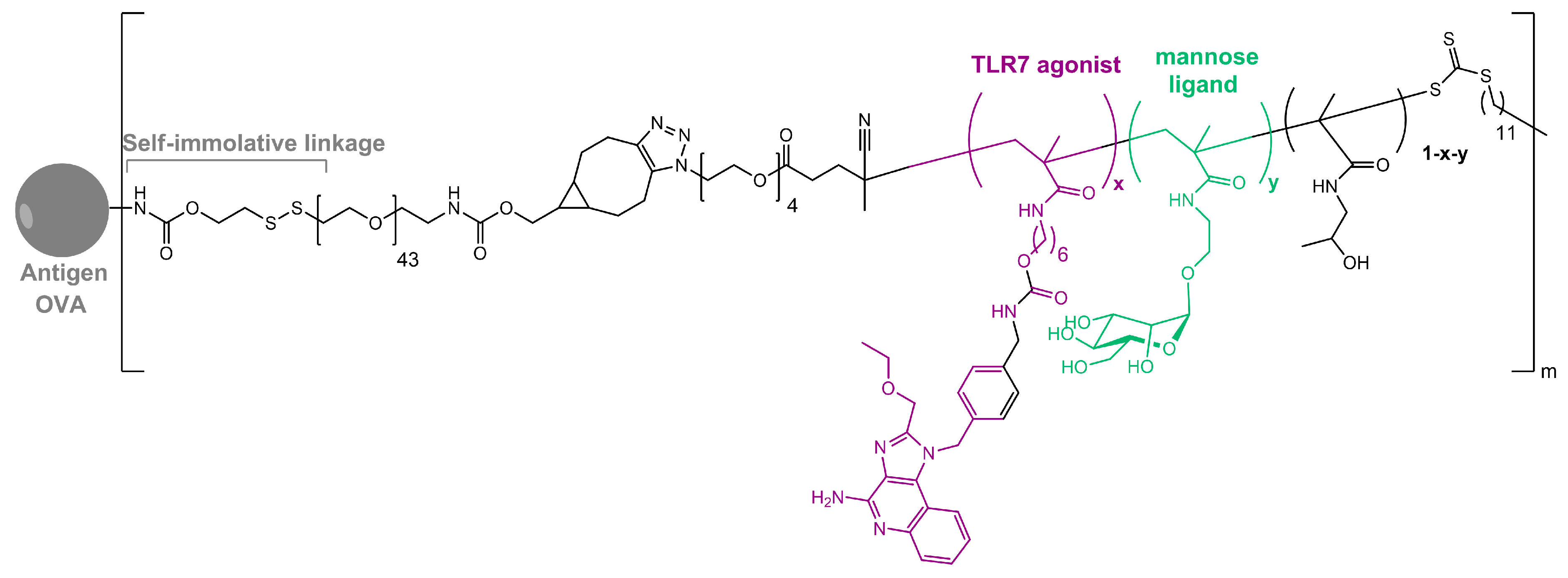 Ijms 25 01370 g003 Ijms 25 01370 g003