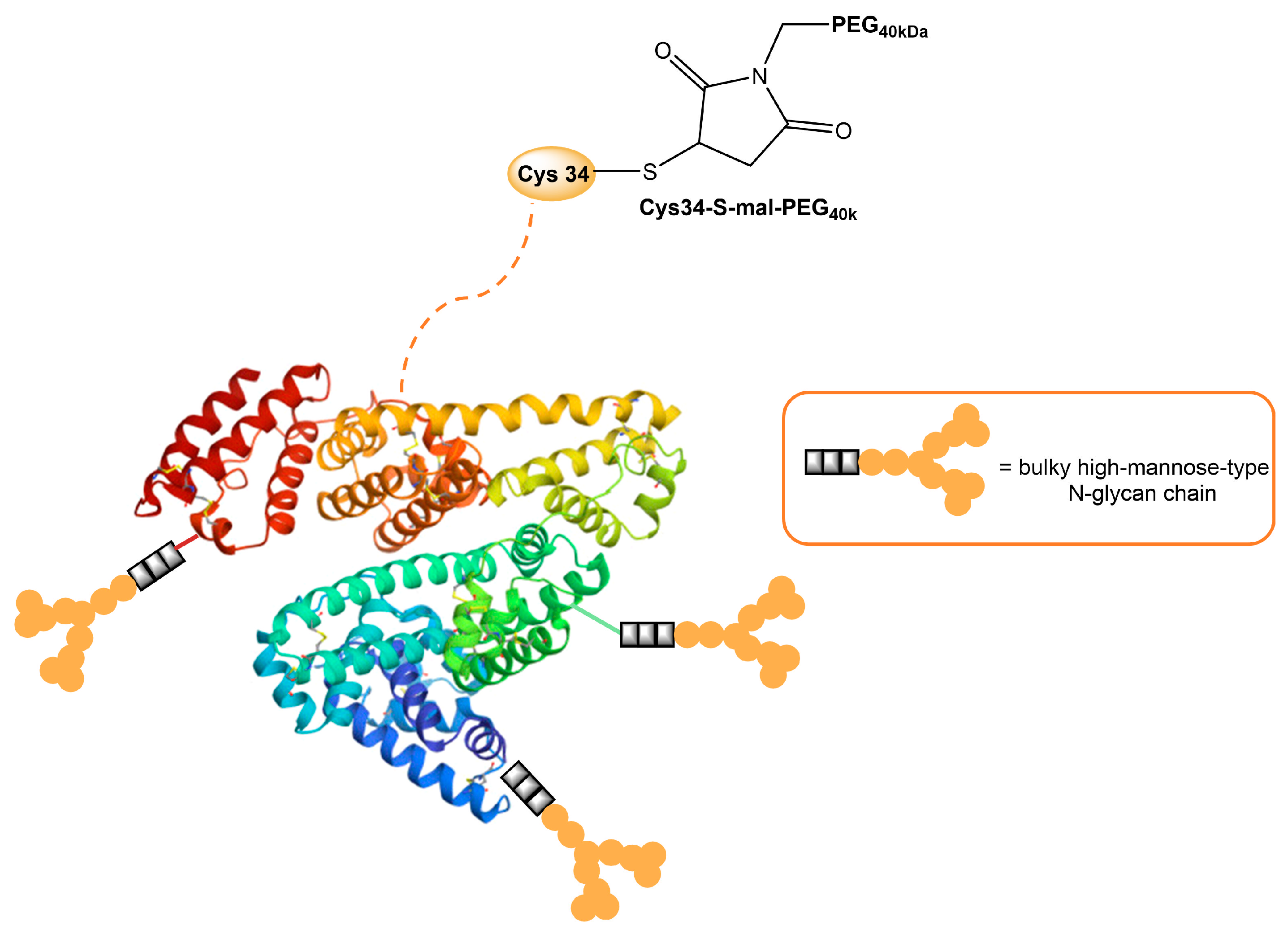 Ijms 25 01370 g004 Ijms 25 01370 g004