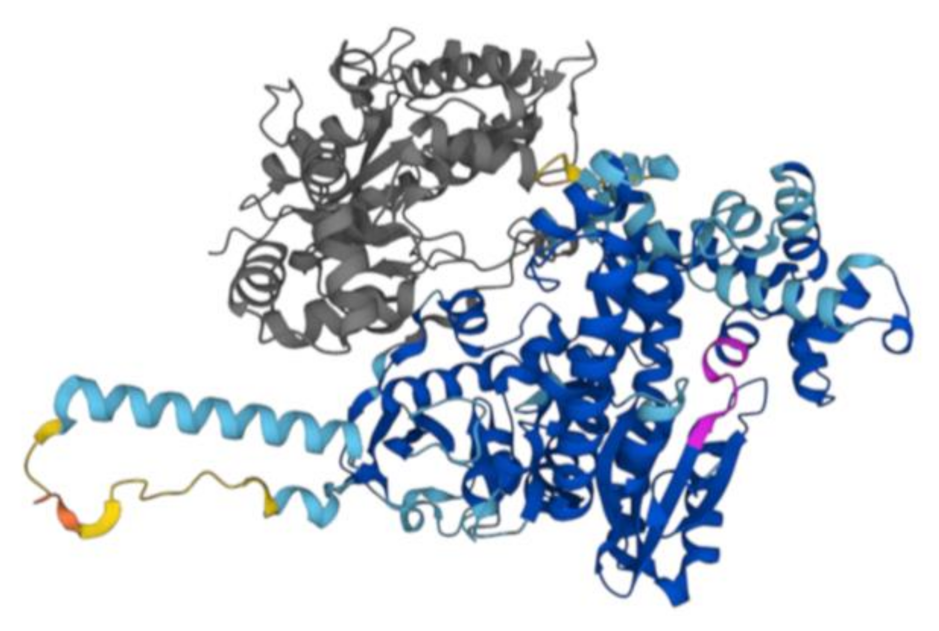 Ijms 25 01392 g001 Ijms 25 01392 g001