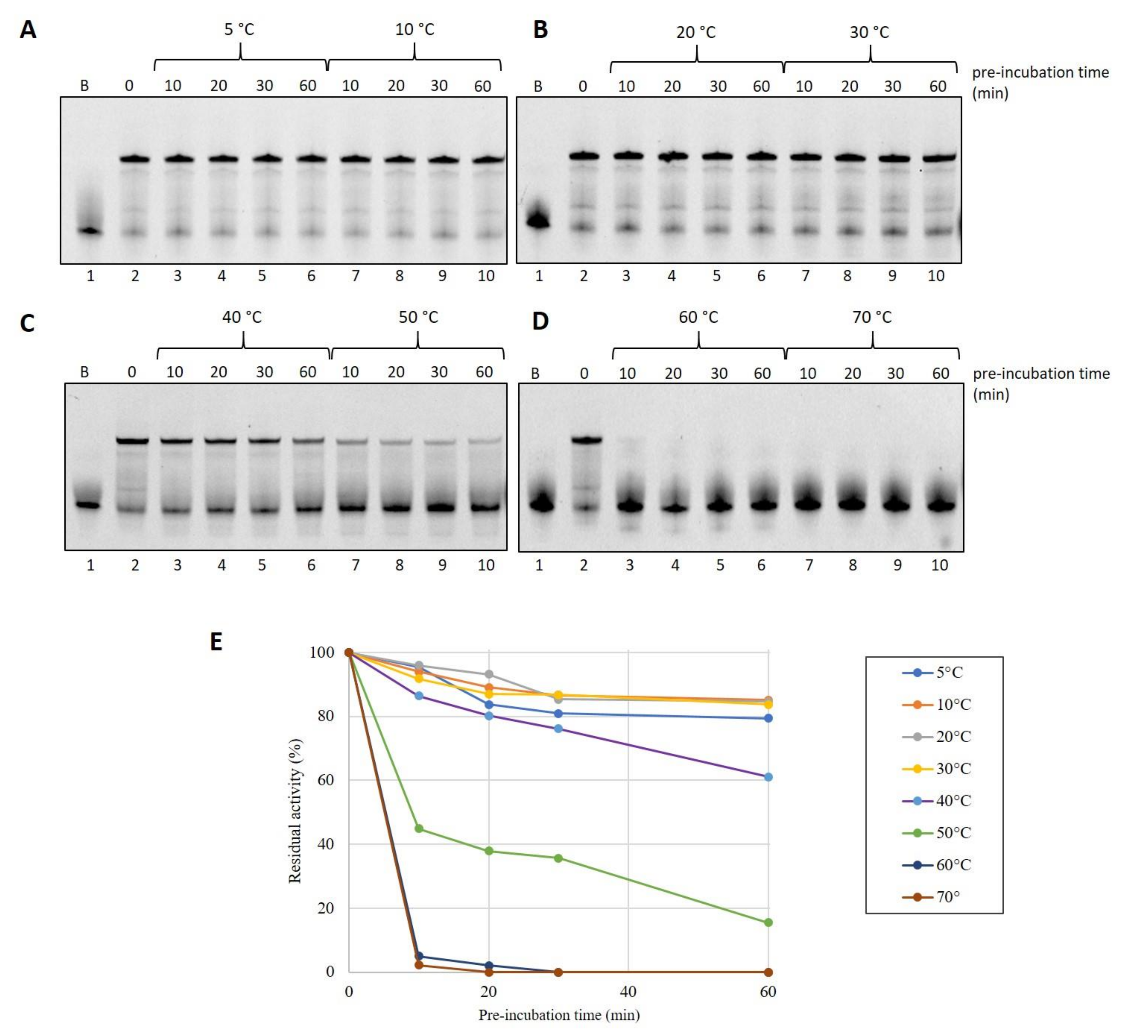 Ijms 25 01392 g003 Ijms 25 01392 g003