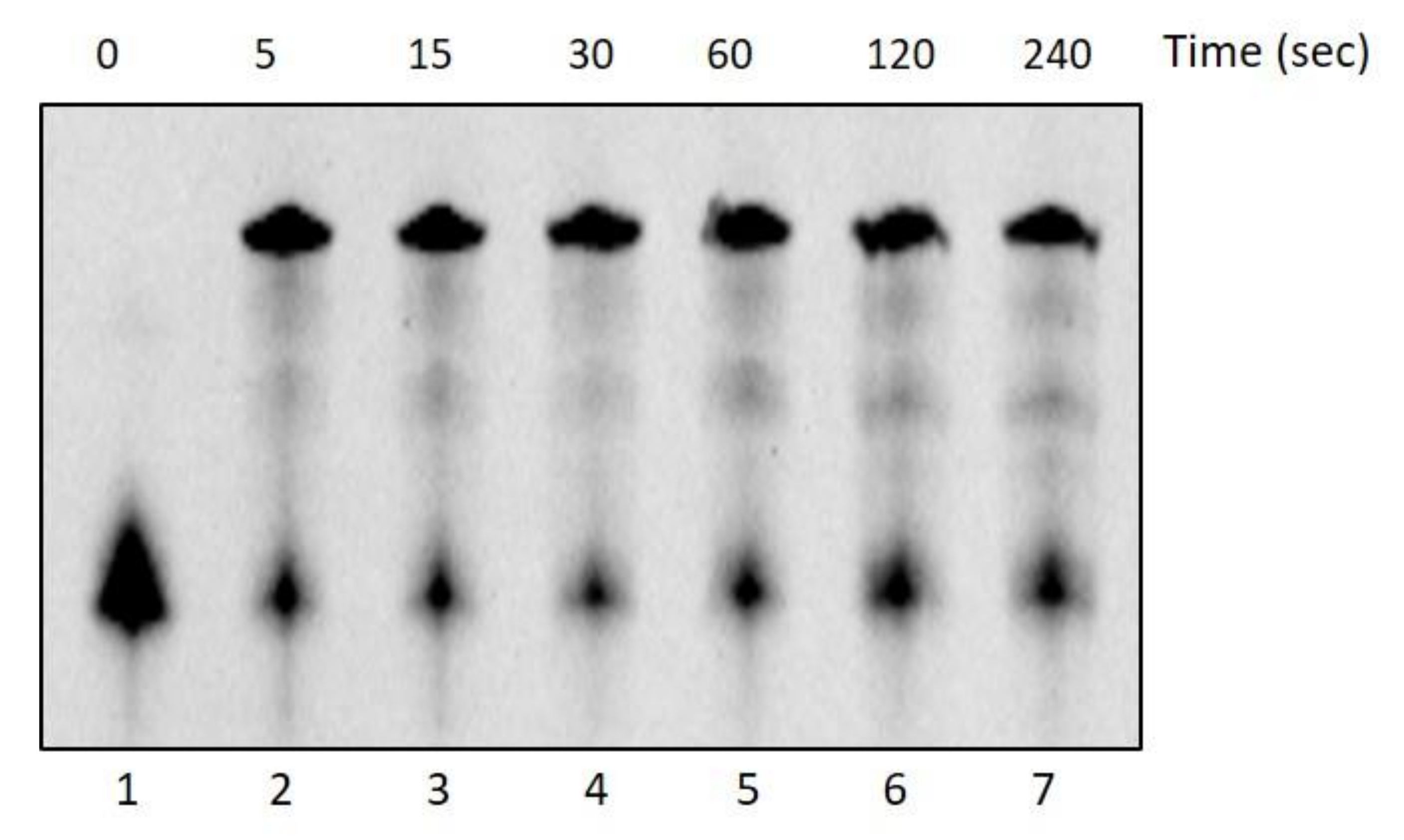 Ijms 25 01392 g004 Ijms 25 01392 g004