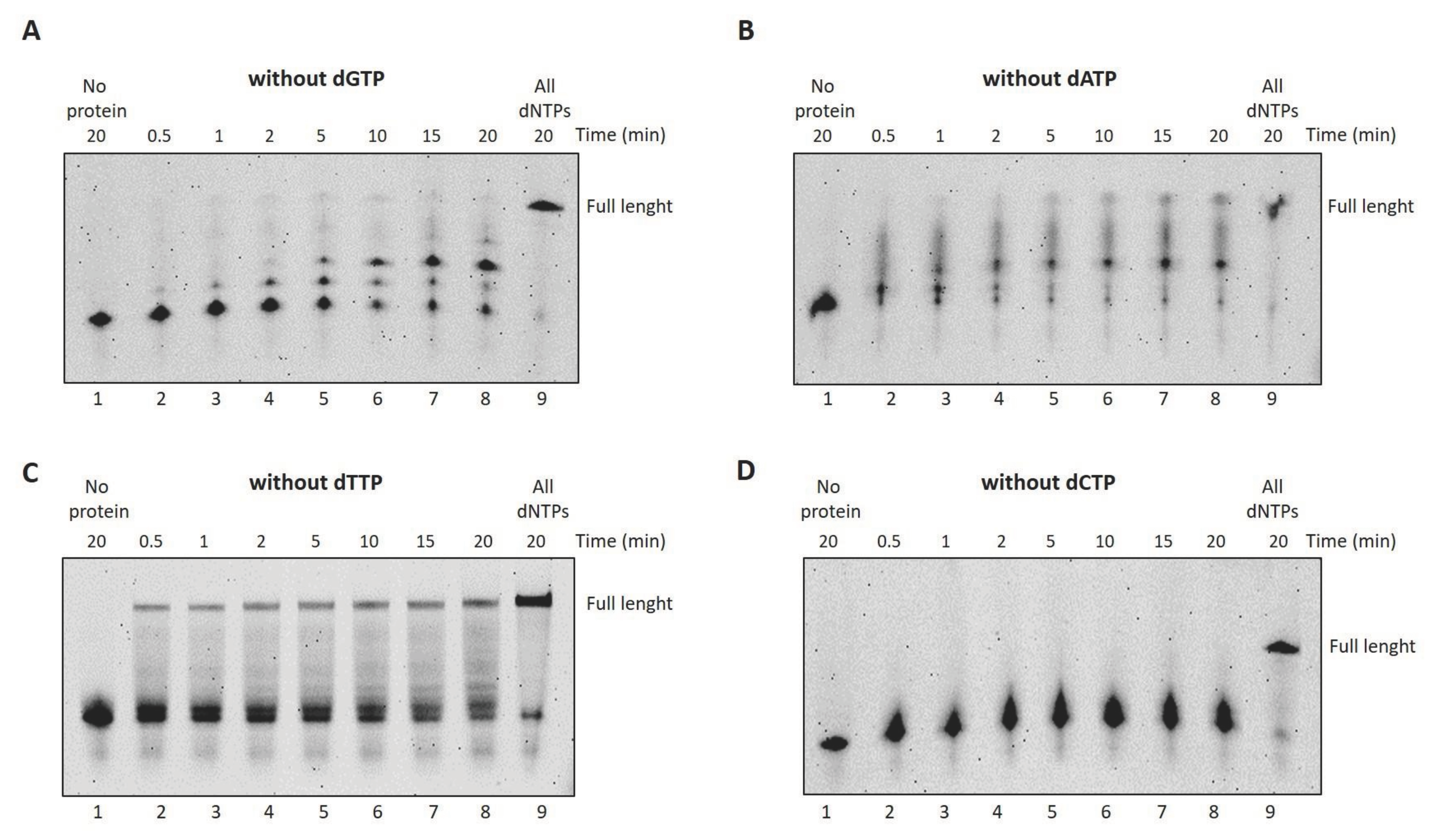 Ijms 25 01392 g006 Ijms 25 01392 g006