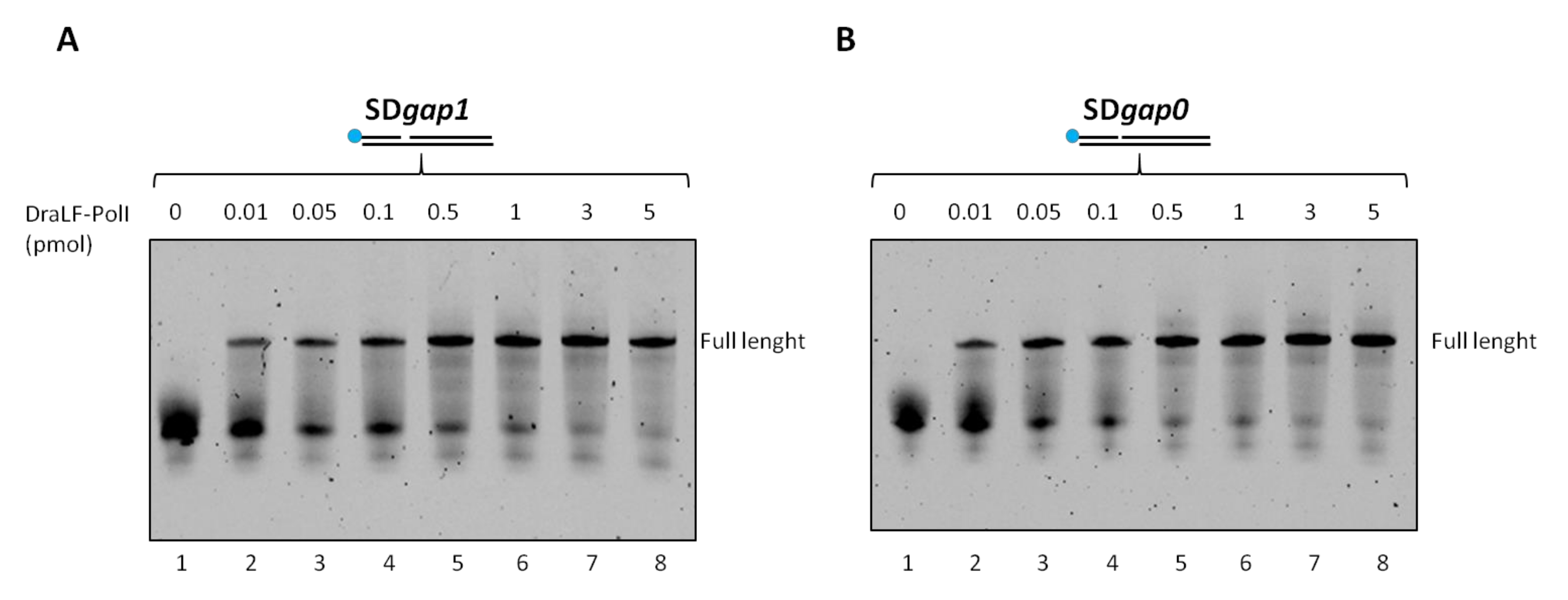 Ijms 25 01392 g009 Ijms 25 01392 g009