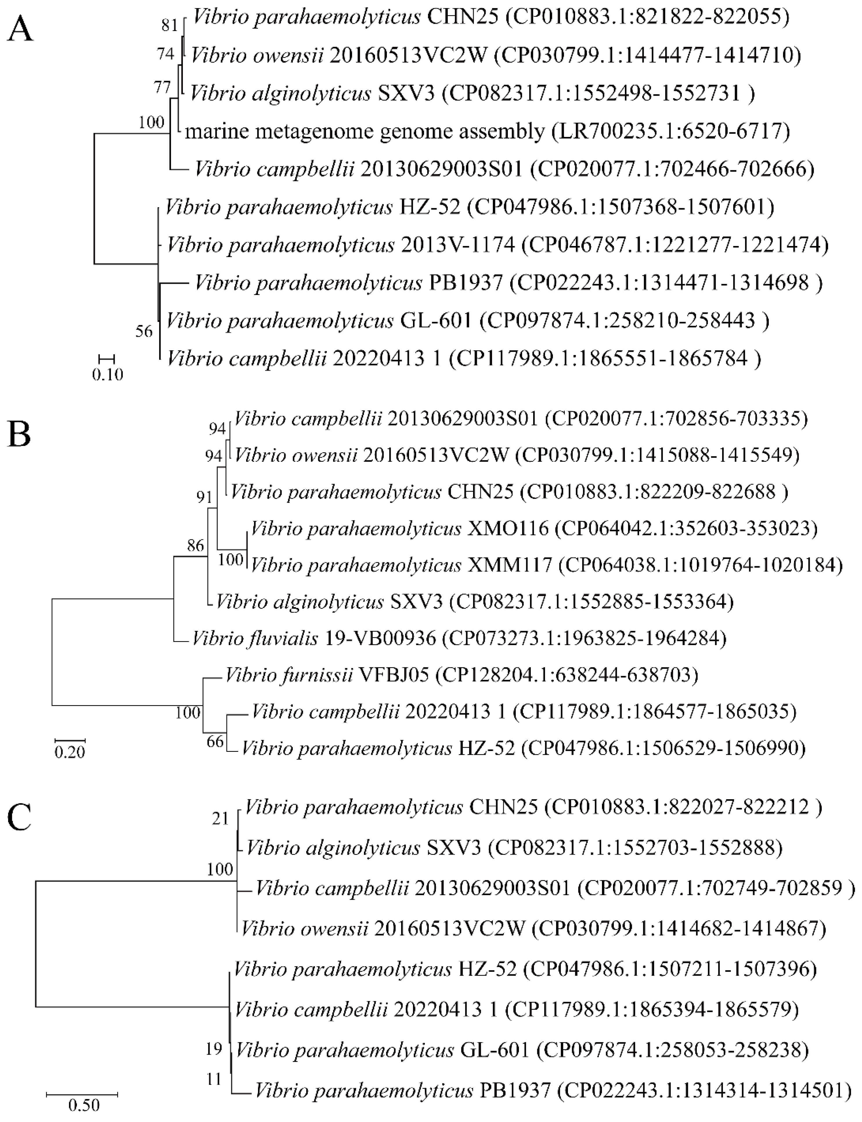 Ijms 25 01393 g013