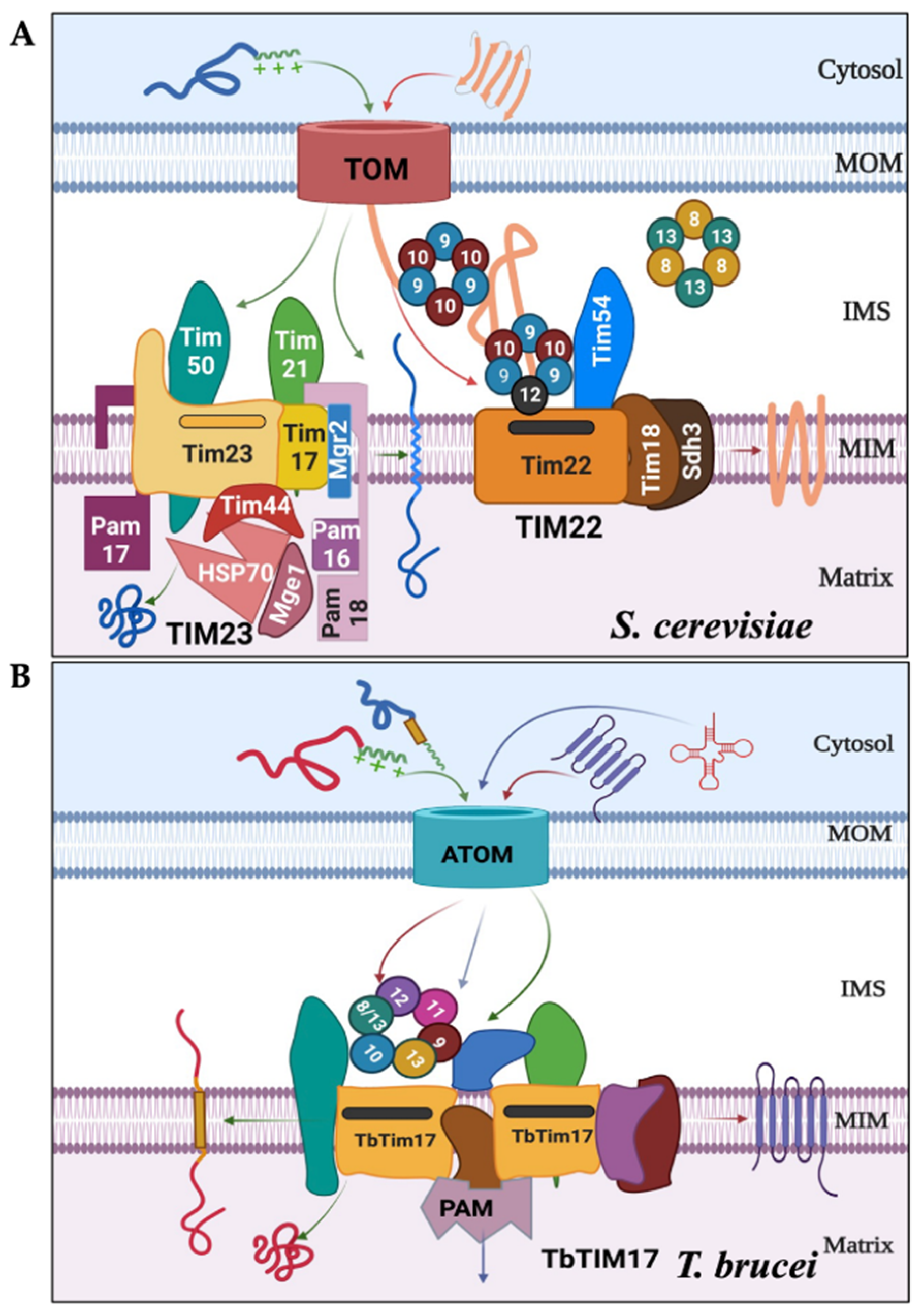 Ijms 25 01415 g001 Ijms 25 01415 g001