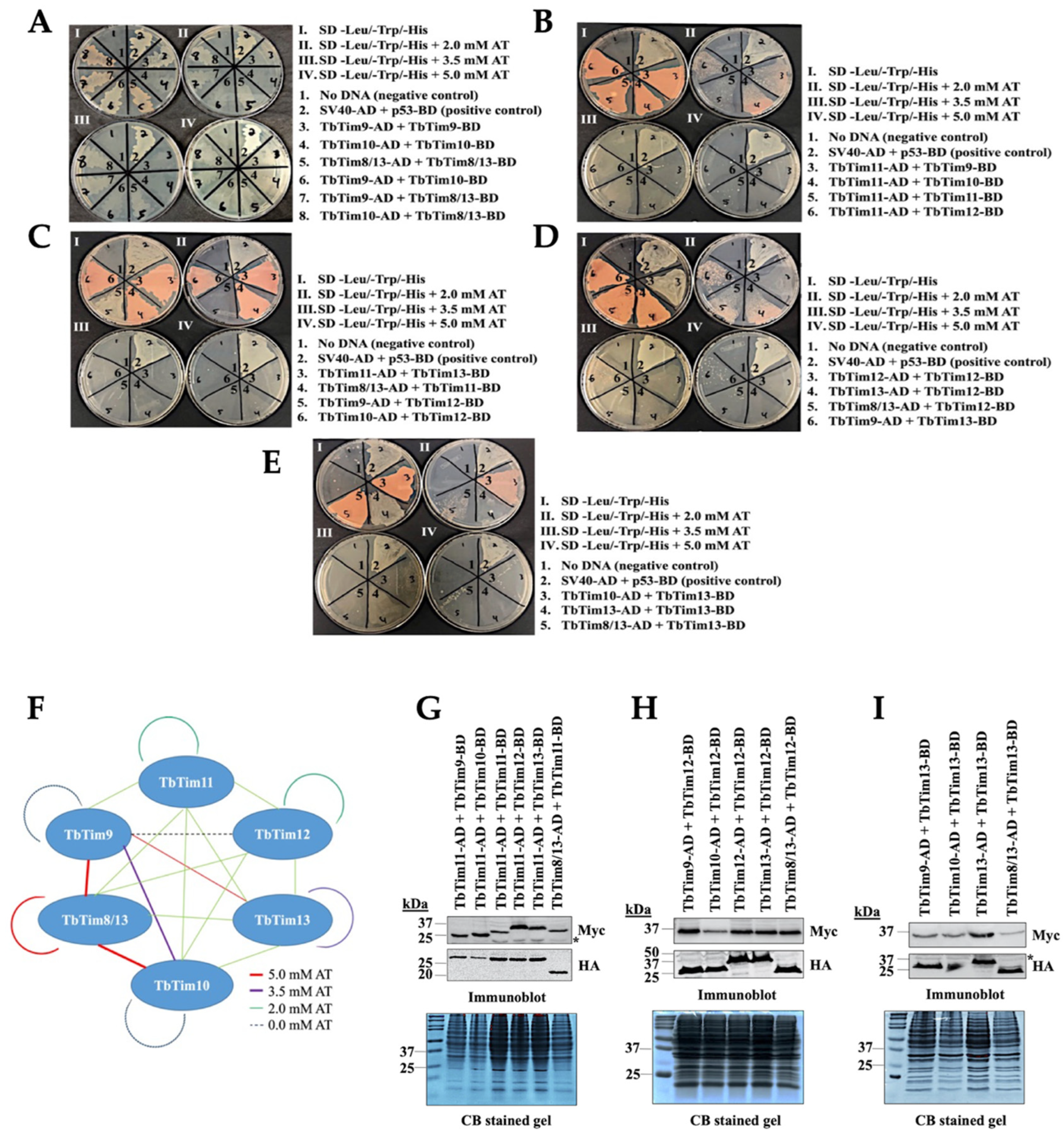 Ijms 25 01415 g002 Ijms 25 01415 g002