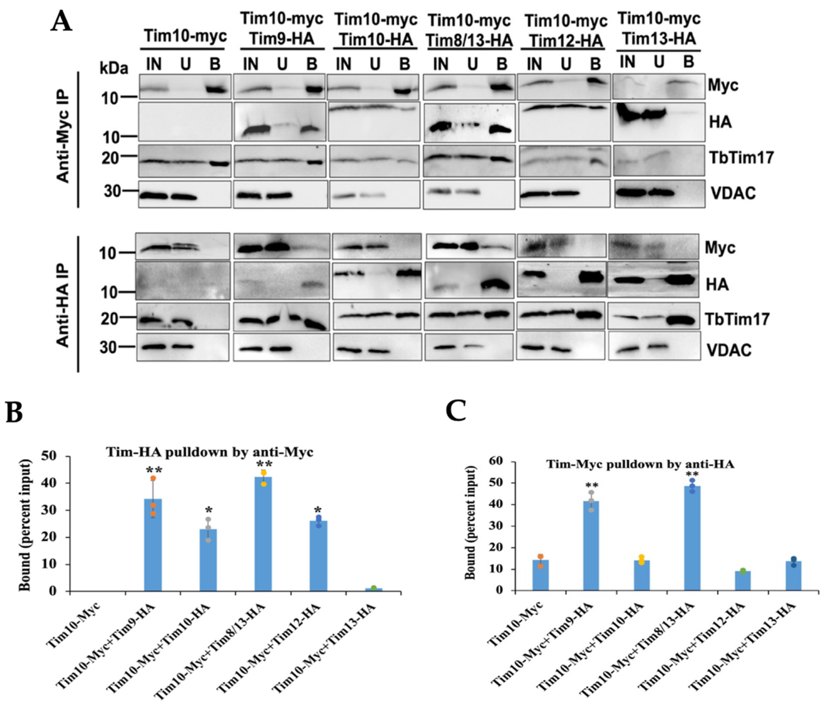 Ijms 25 01415 g003 Ijms 25 01415 g003