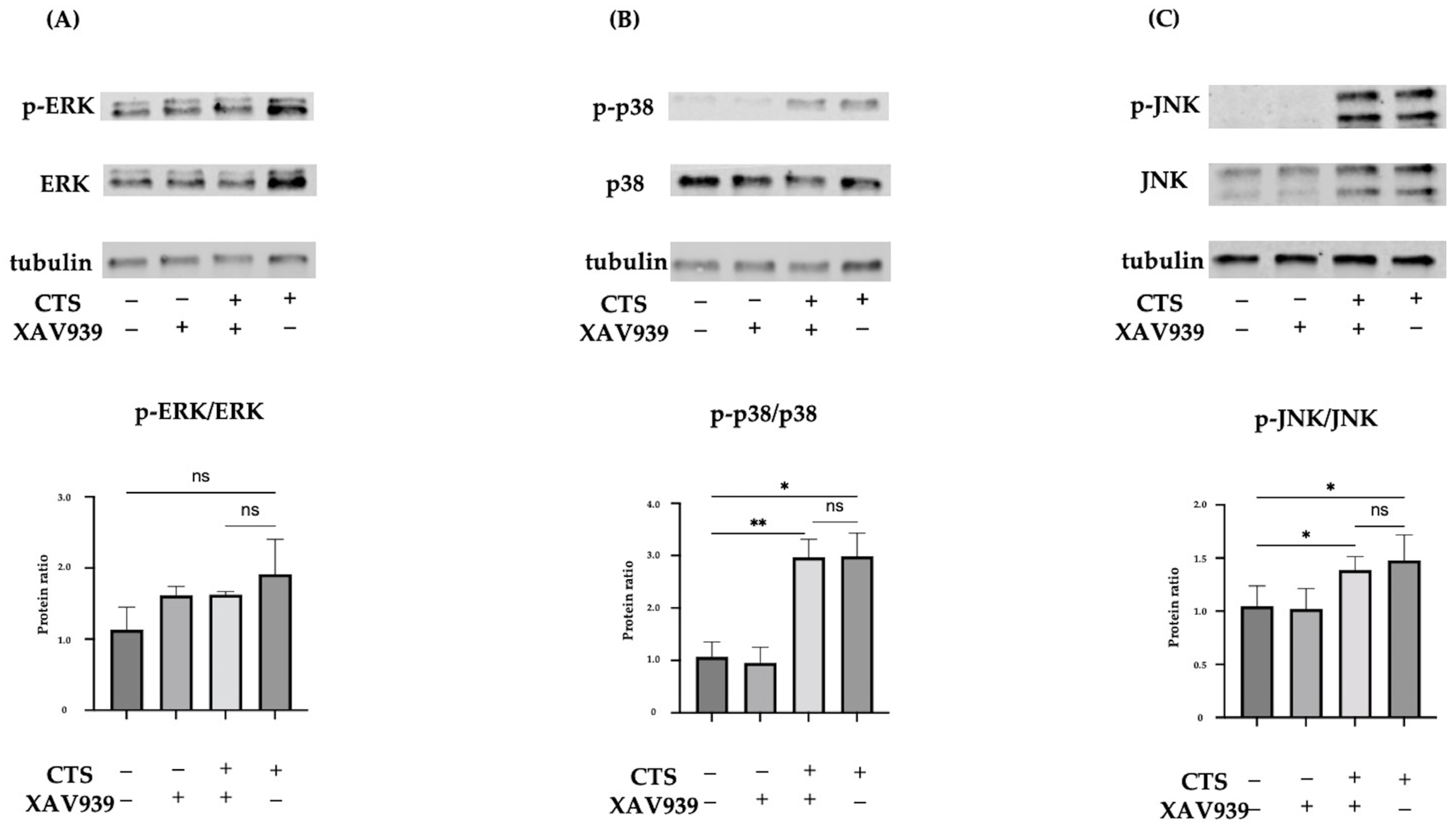 Ijms 25 01443 g003 Ijms 25 01443 g003
