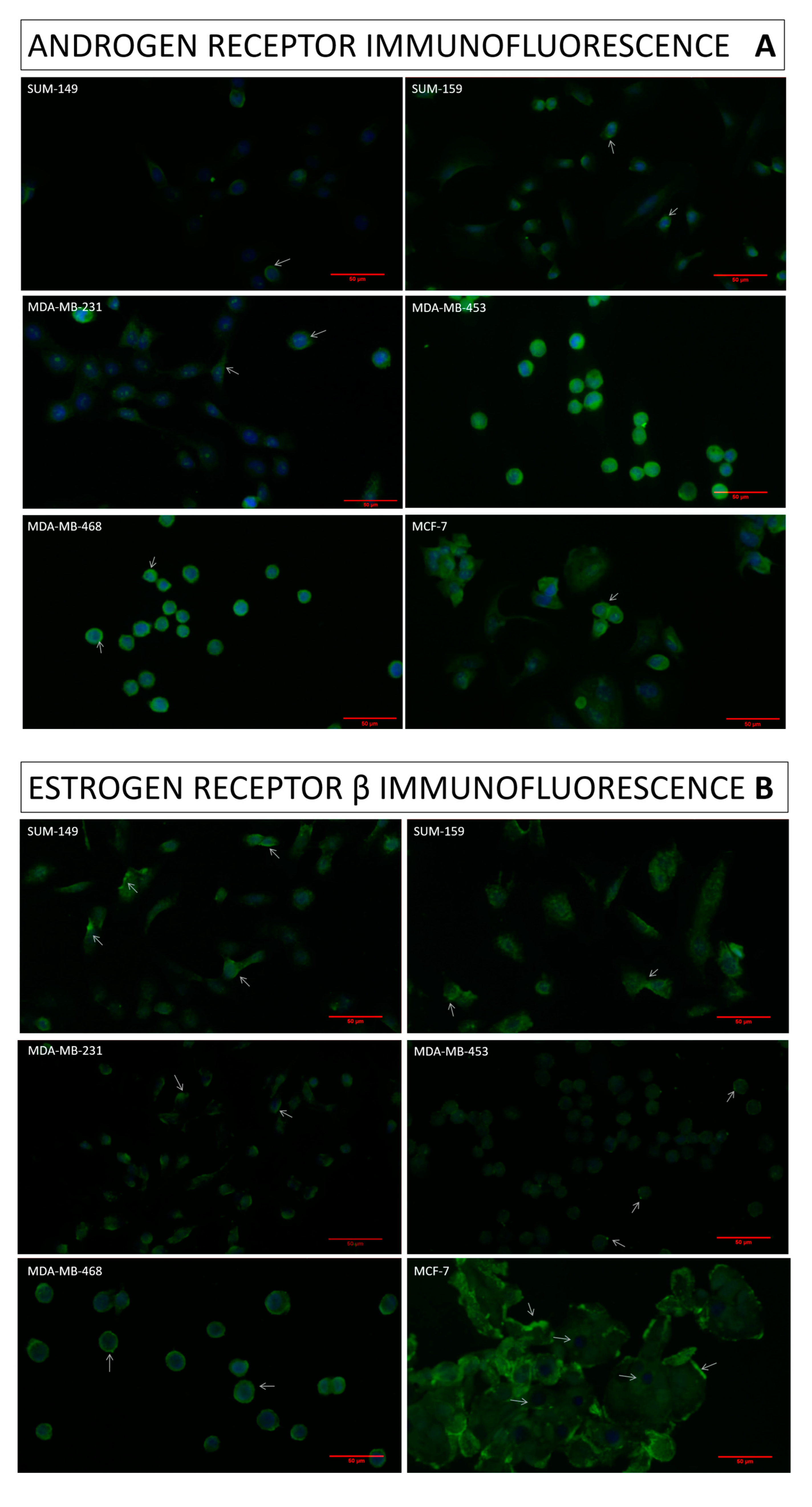 Ijms 25 01471 g001a Ijms 25 01471 g001a