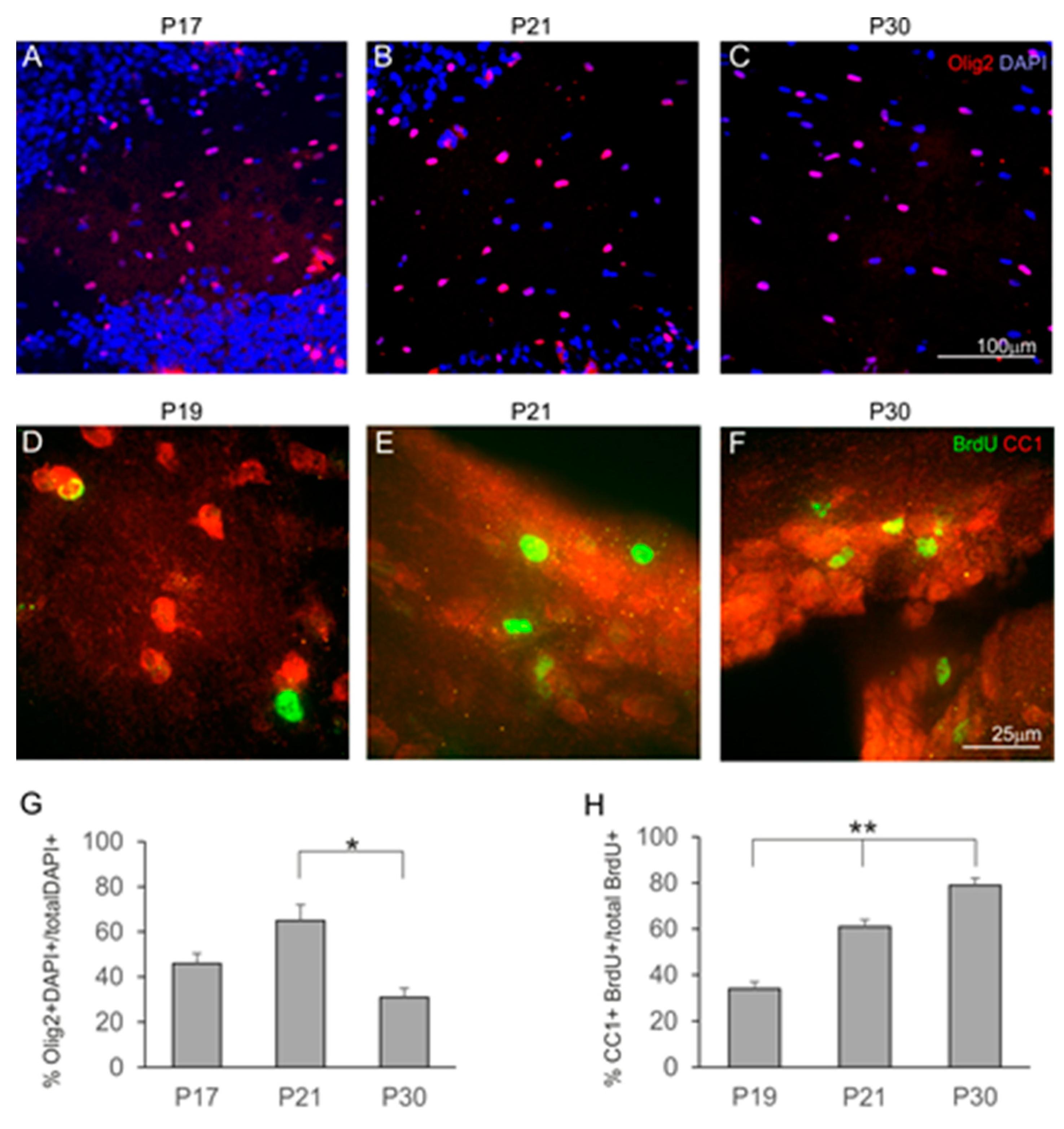 Ijms 25 01476 g004 Ijms 25 01476 g004