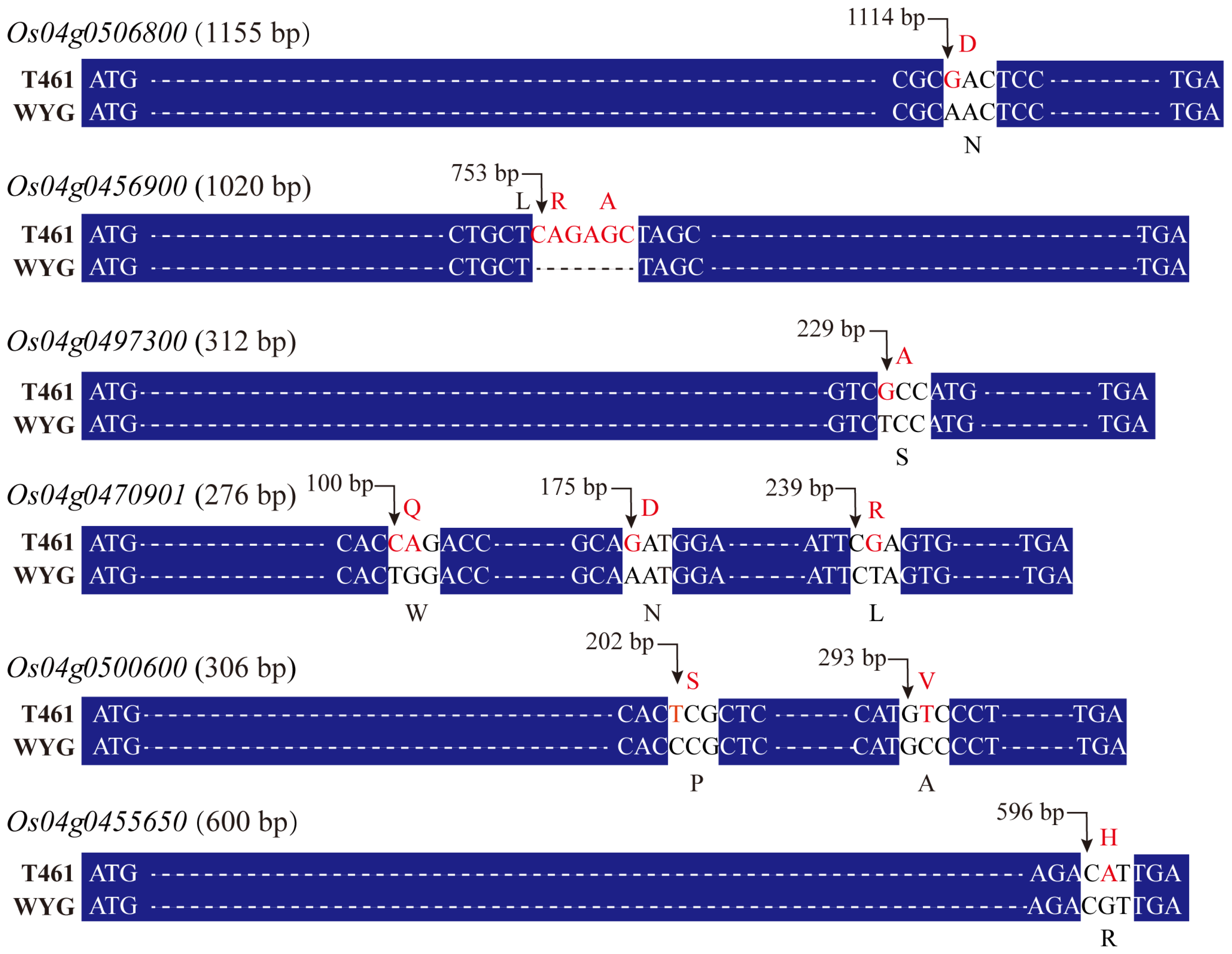 Ijms 25 01497 g004