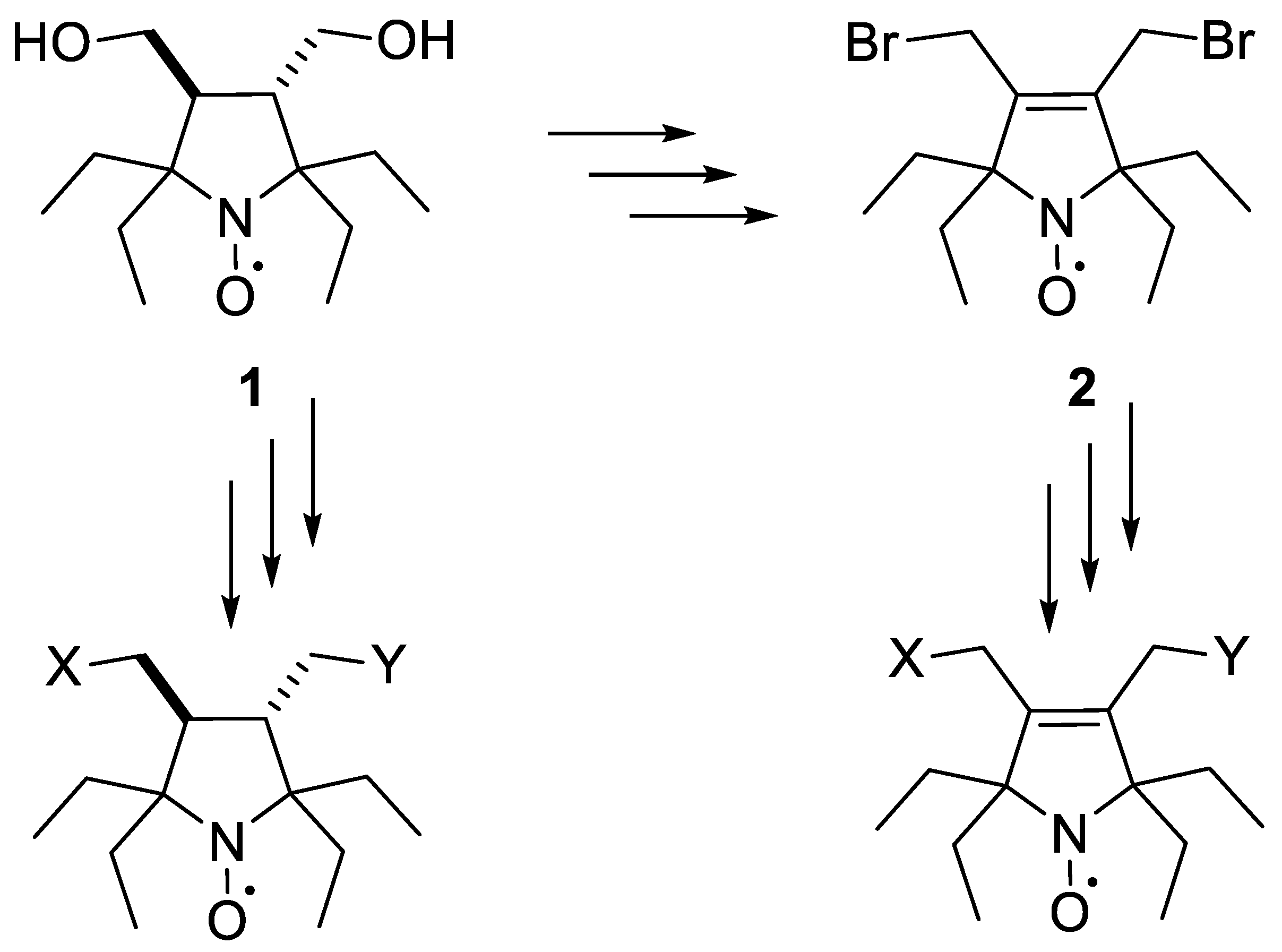 Ijms 25 01550 sch001