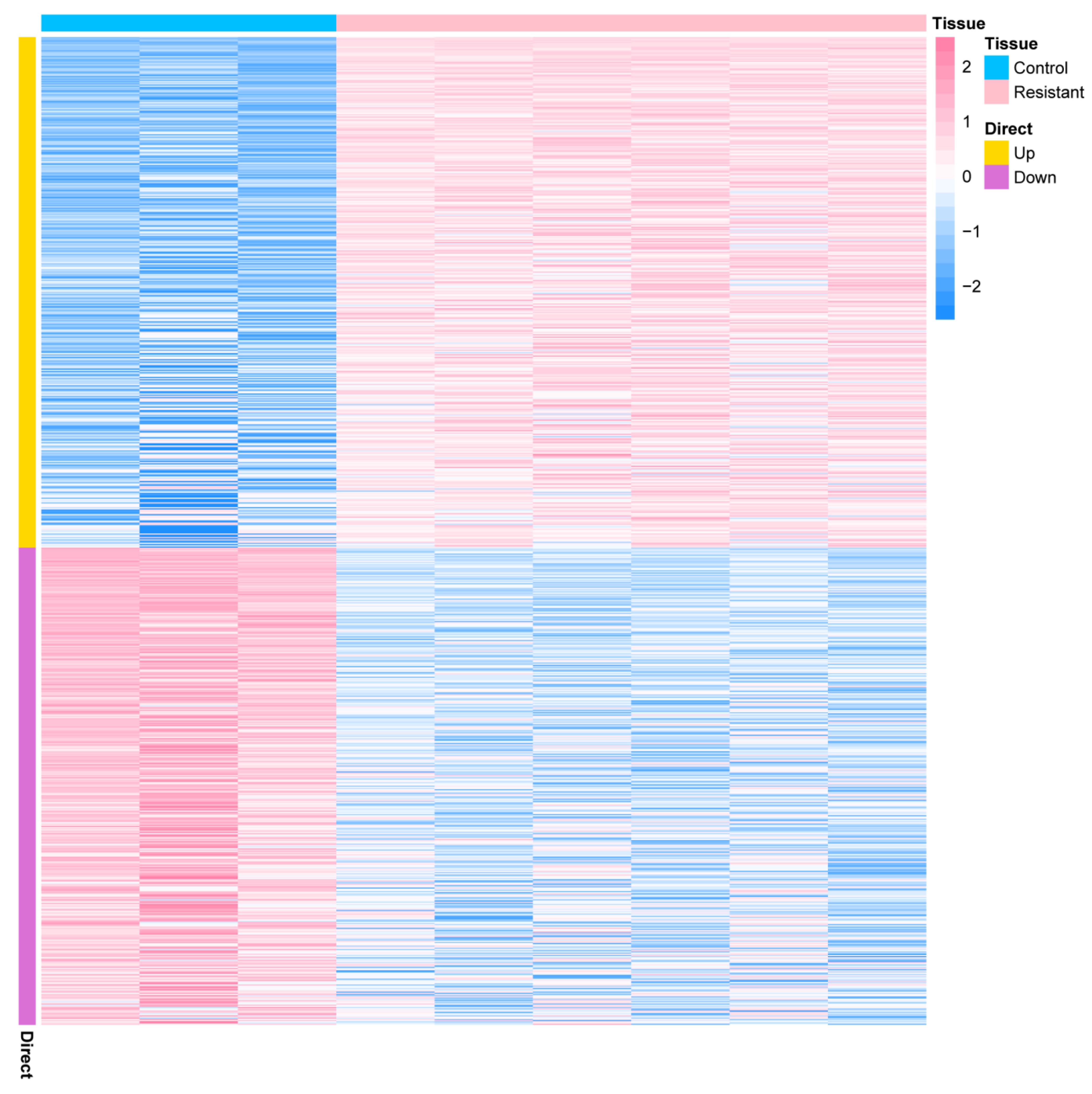 Ijms 25 01555 g001 Ijms 25 01555 g001