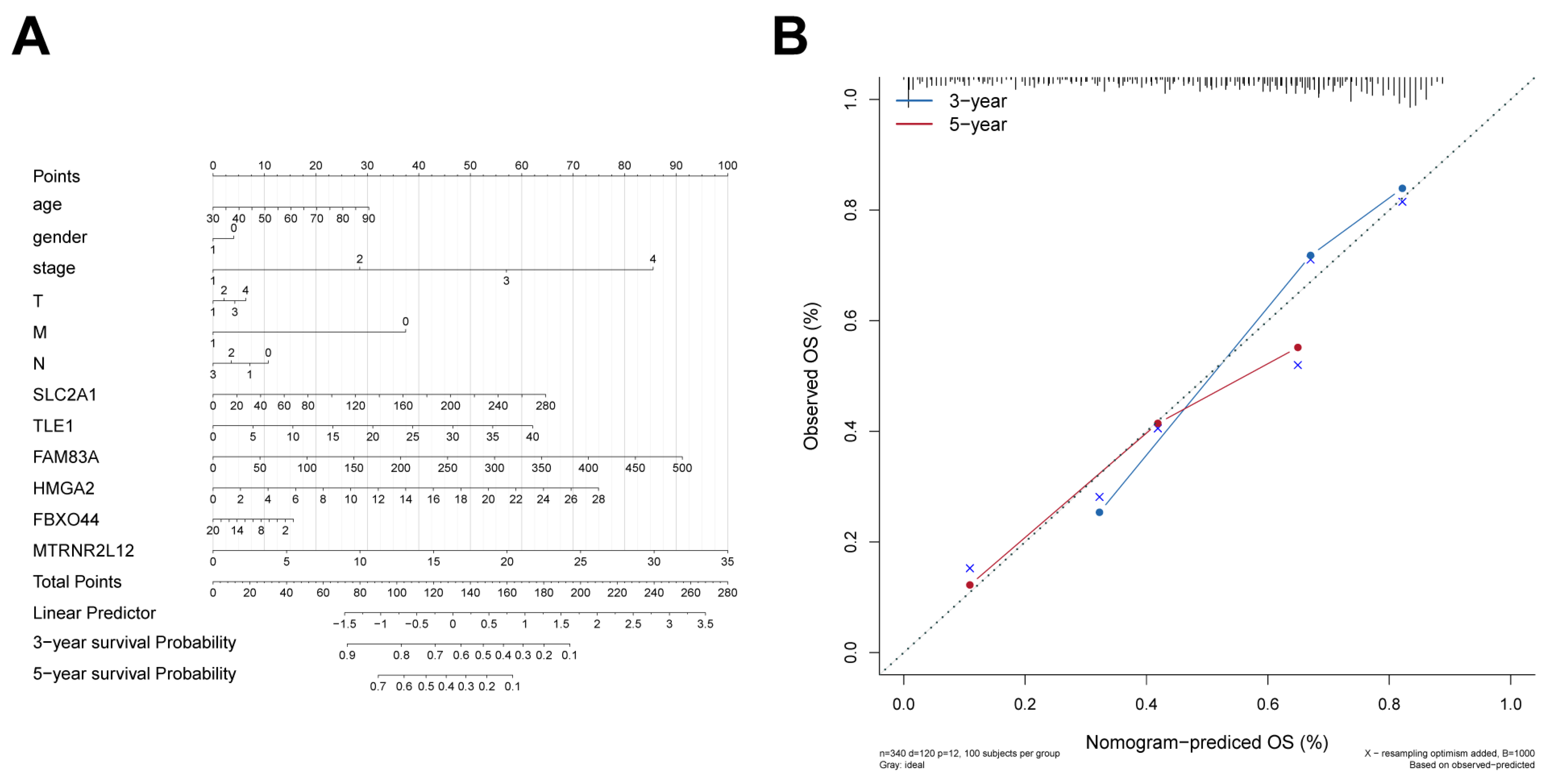 Ijms 25 01555 g005 Ijms 25 01555 g005