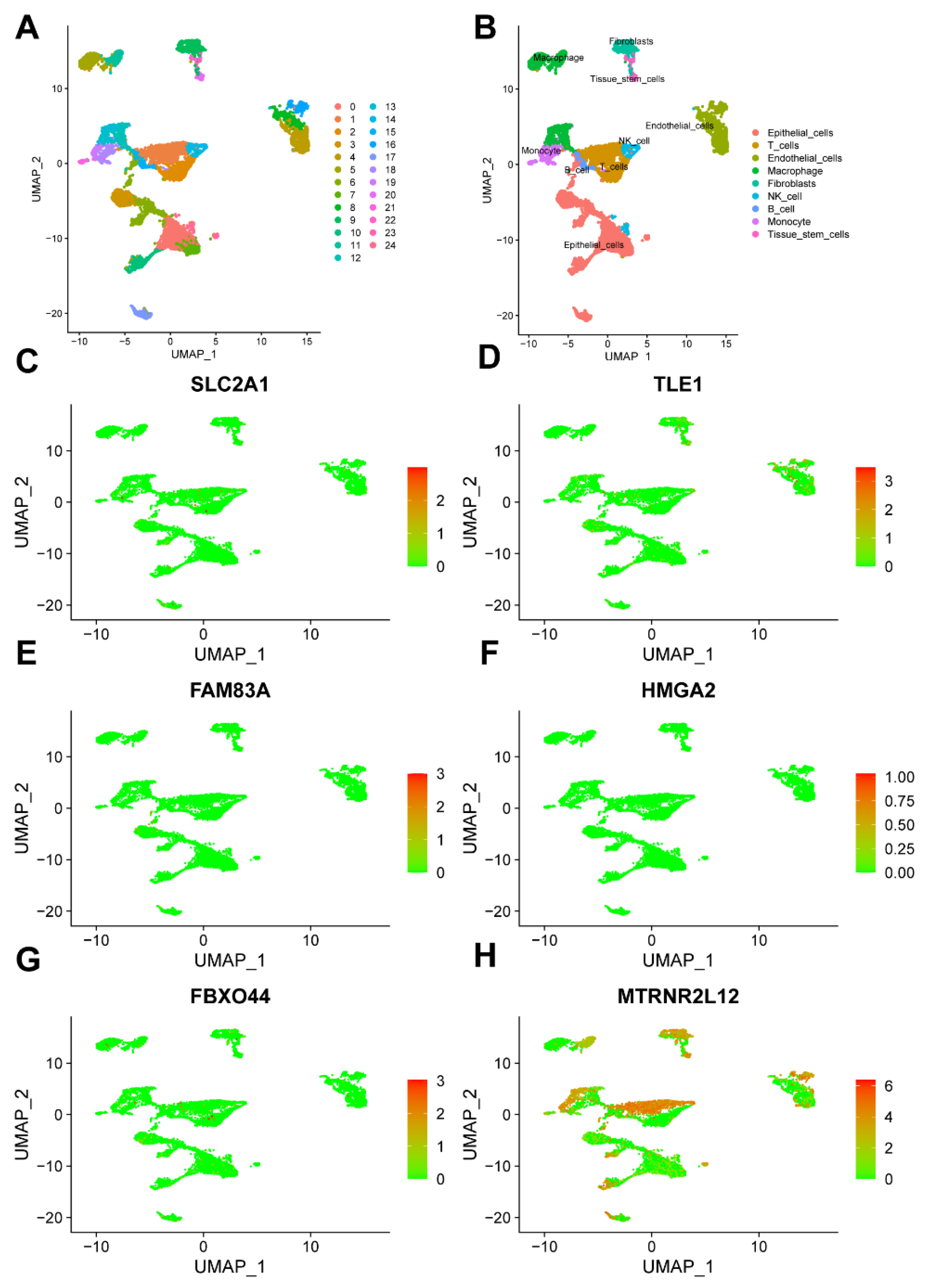 Ijms 25 01555 g008 Ijms 25 01555 g008
