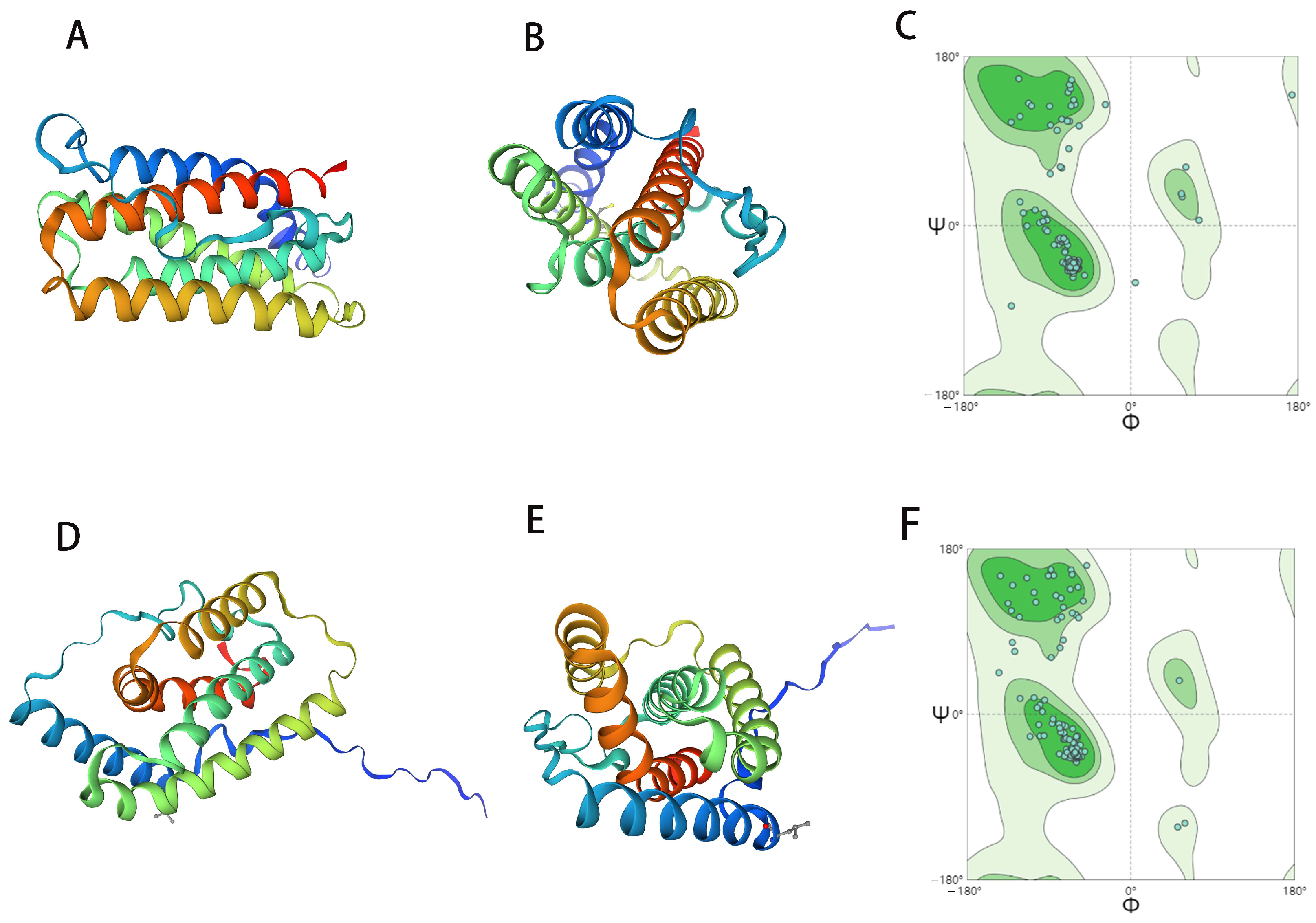 Ijms 25 01681 g001