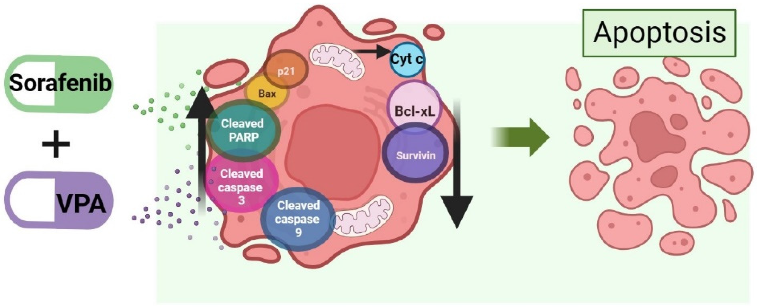 Ijms 25 01760 g004 Ijms 25 01760 g004