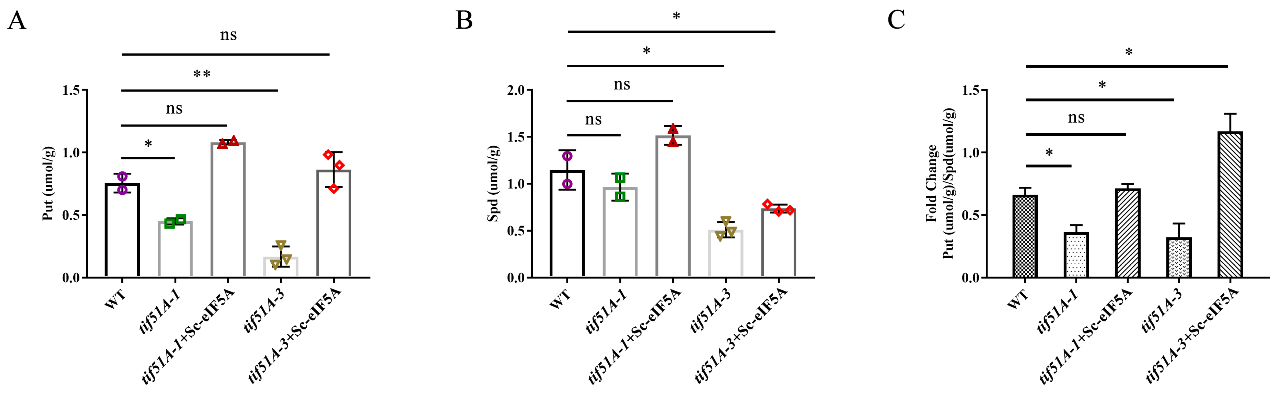 Ijms 25 01766 g001 Ijms 25 01766 g001