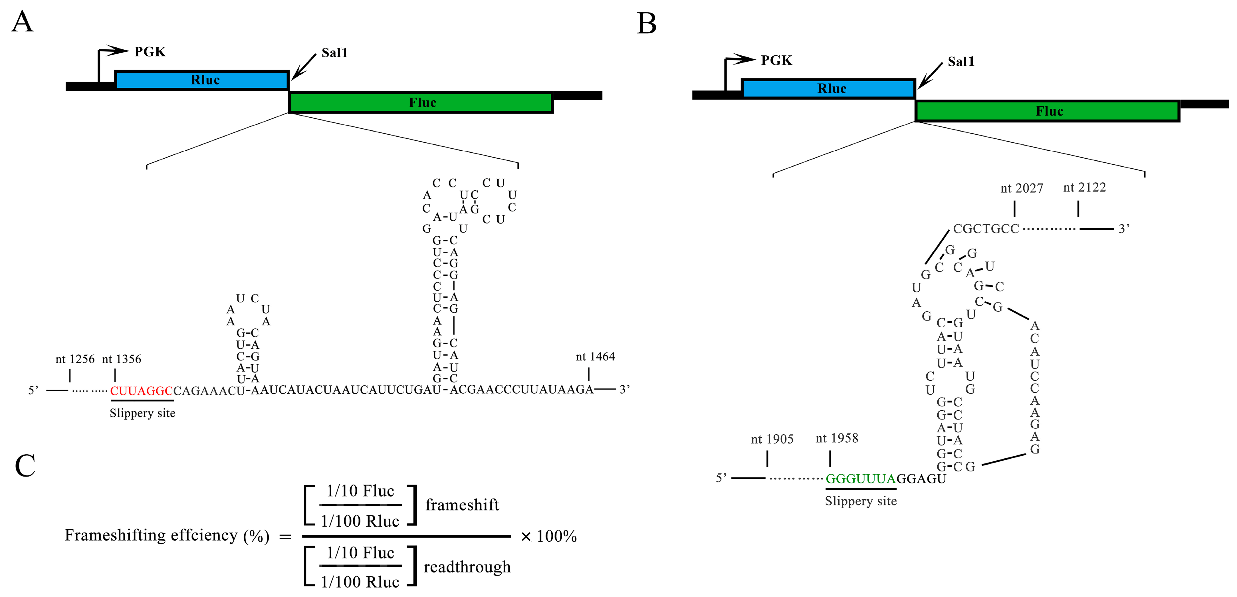 Ijms 25 01766 g002 Ijms 25 01766 g002