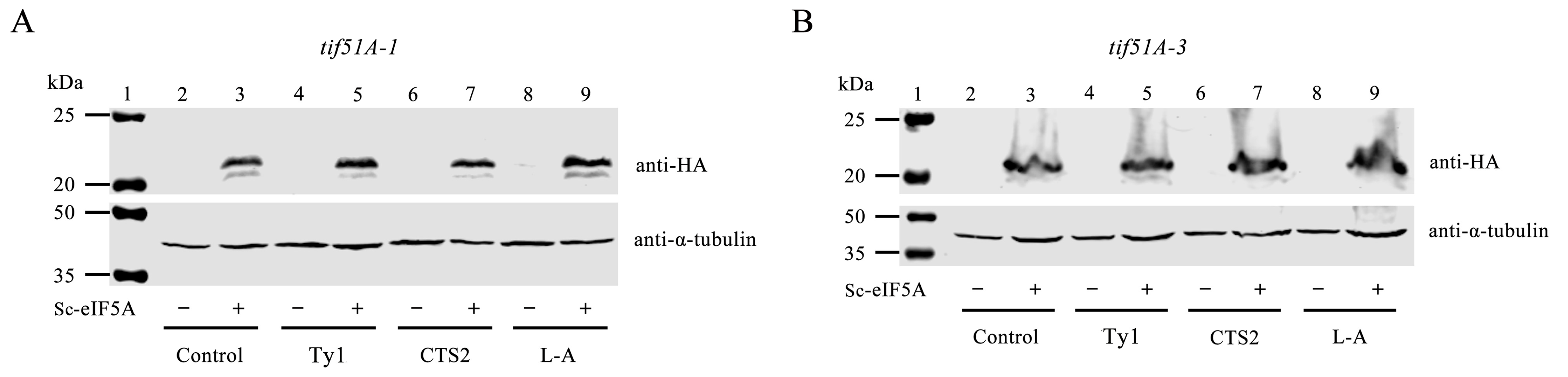 Ijms 25 01766 g004 Ijms 25 01766 g004