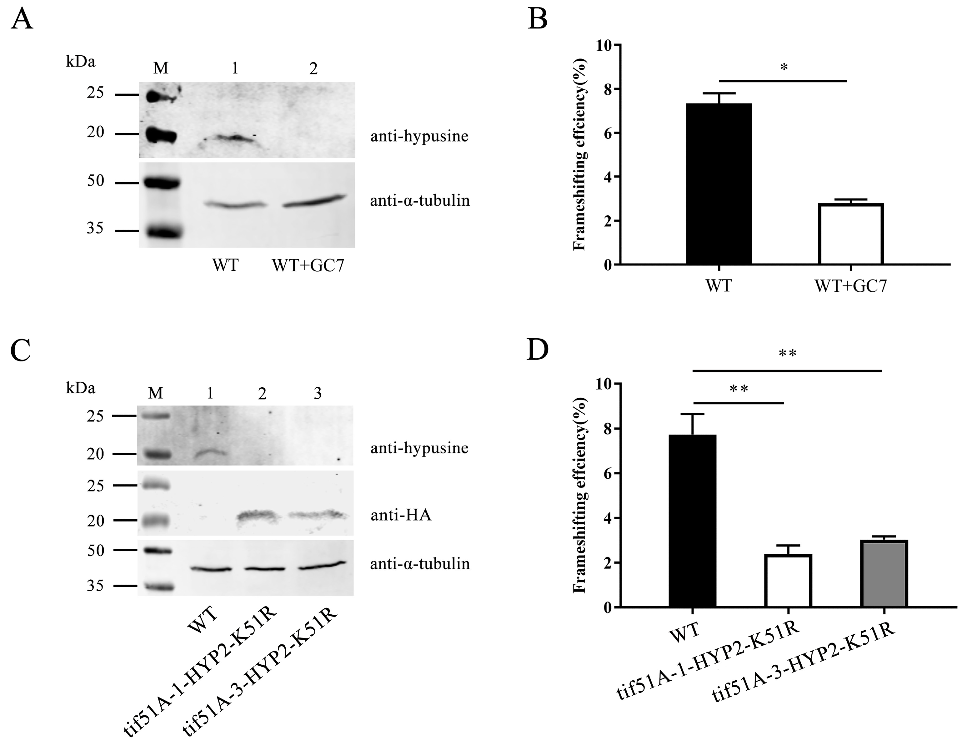 Ijms 25 01766 g006 Ijms 25 01766 g006