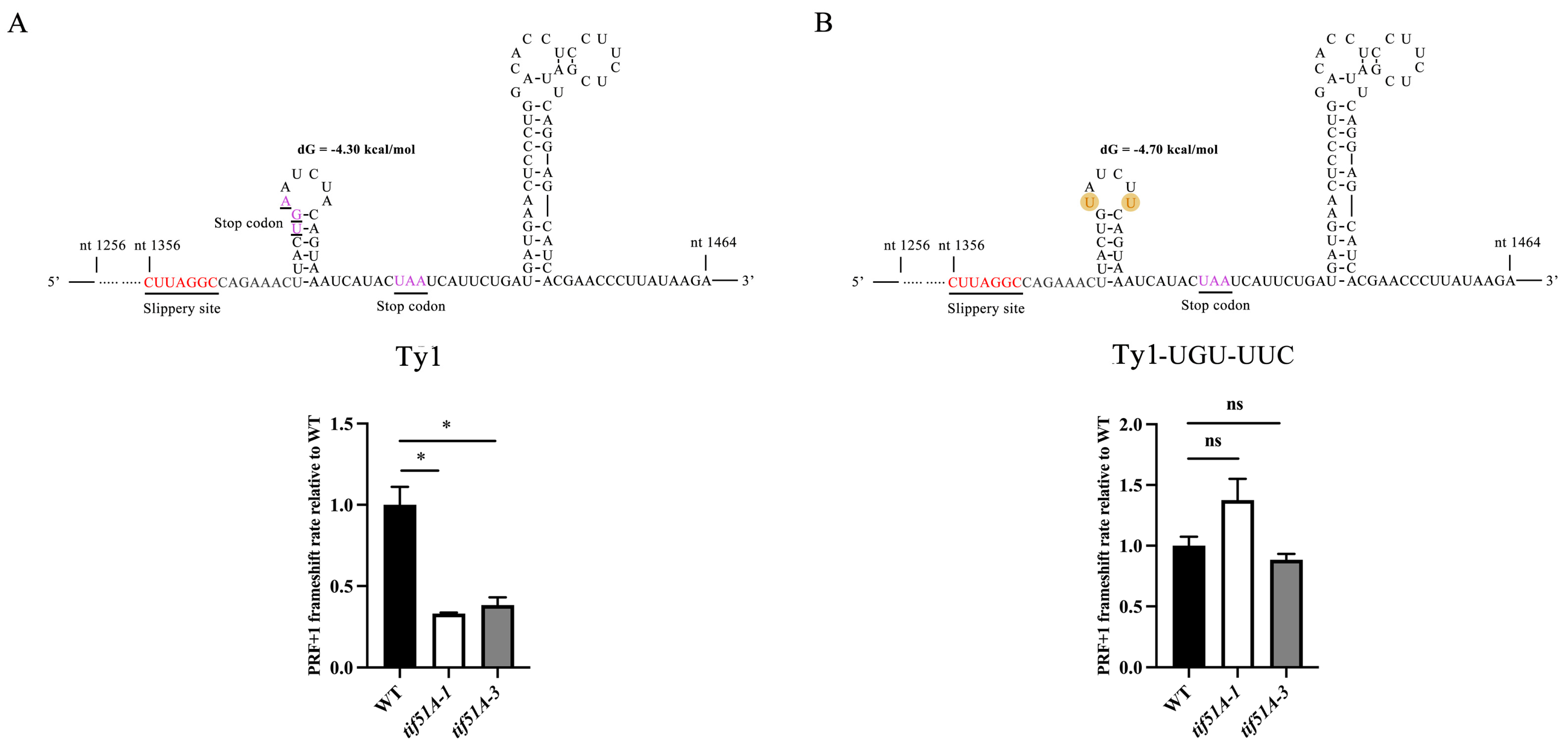 Ijms 25 01766 g007 Ijms 25 01766 g007