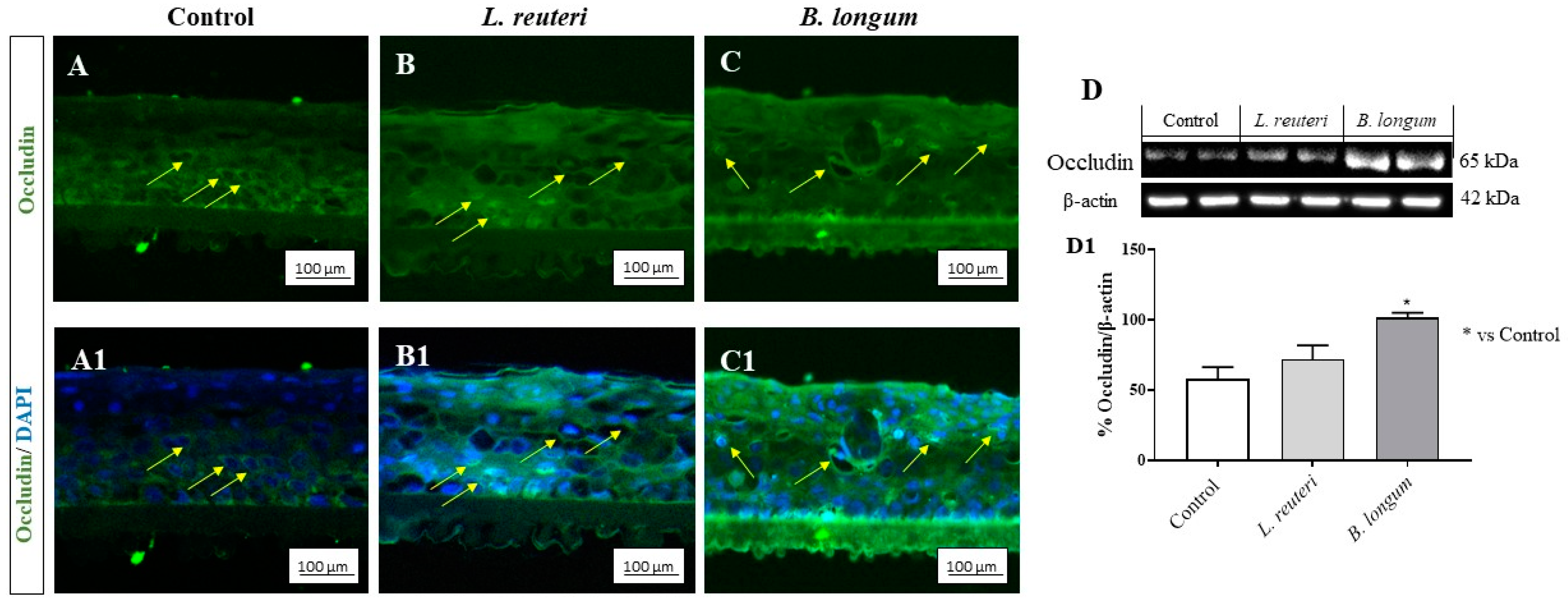 Ijms 25 01770 g005 Ijms 25 01770 g005
