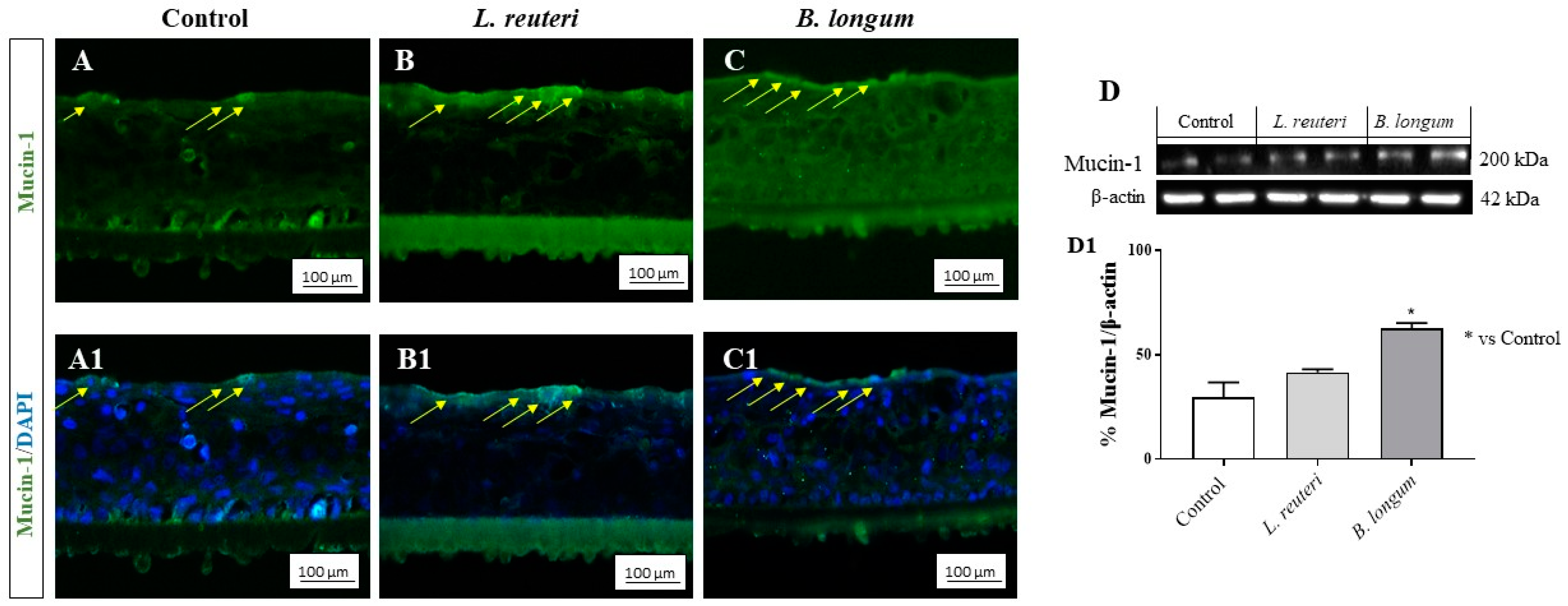 Ijms 25 01770 g006 Ijms 25 01770 g006