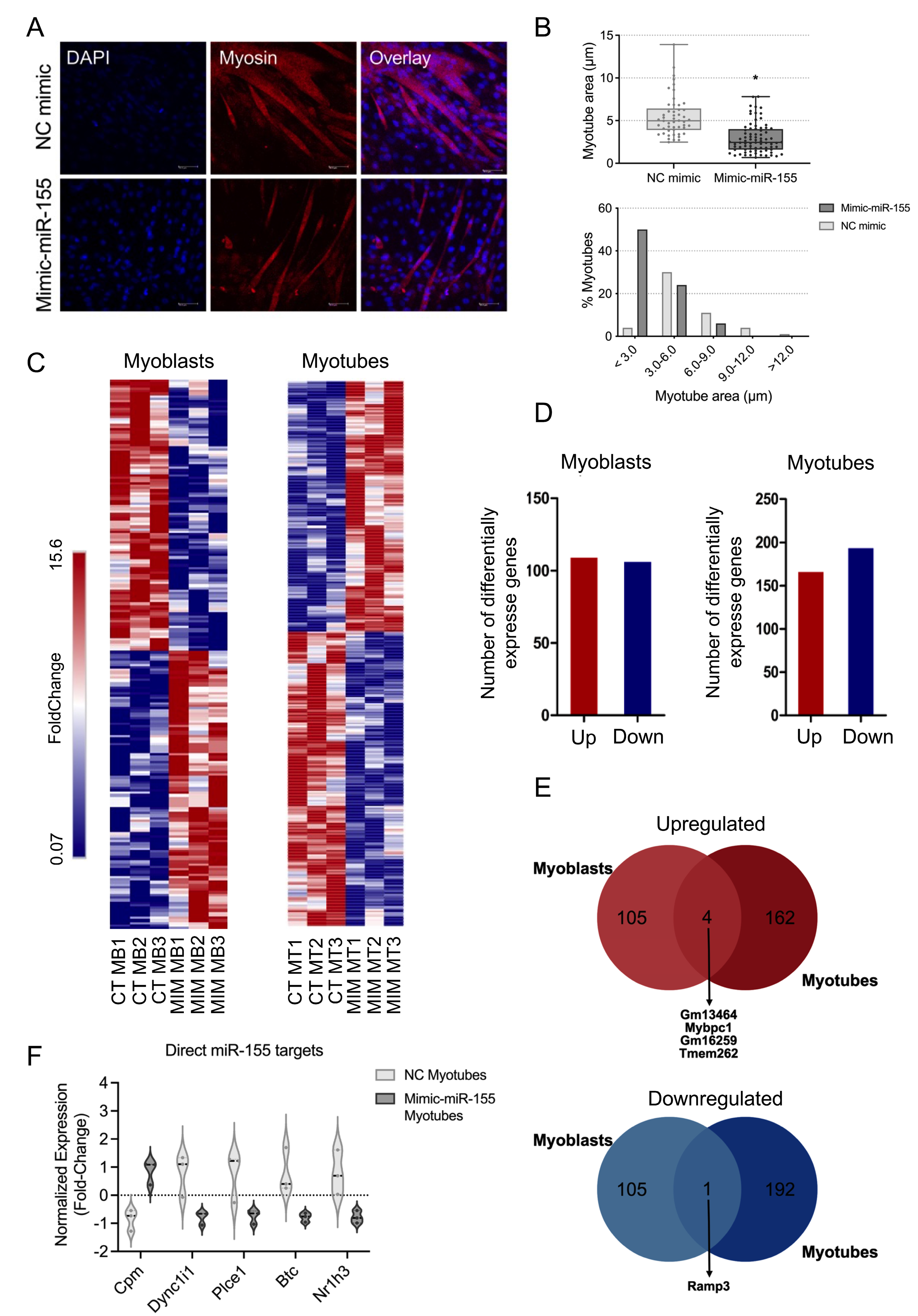 Ijms 25 01777 g001 Ijms 25 01777 g001