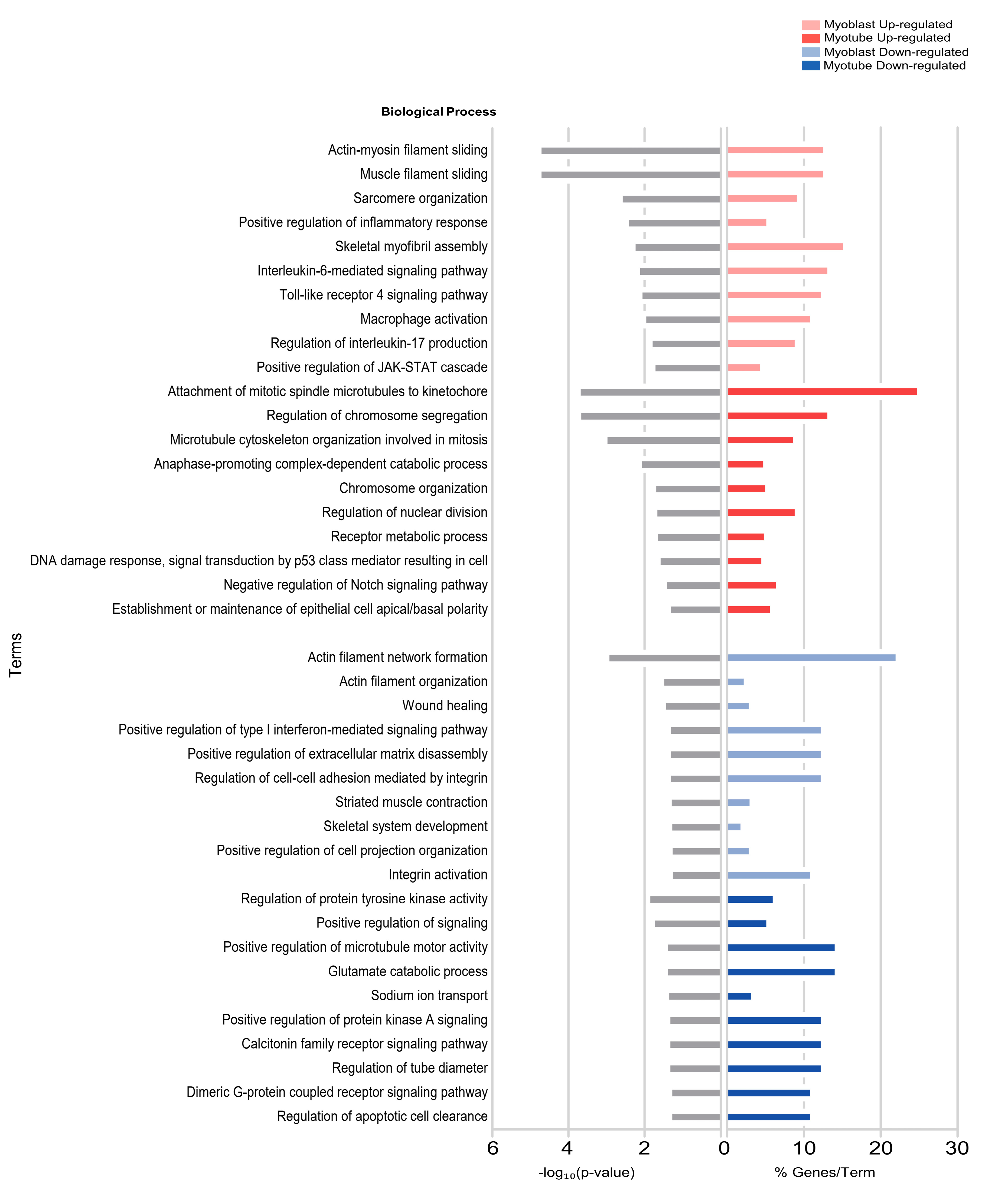 Ijms 25 01777 g003 Ijms 25 01777 g003