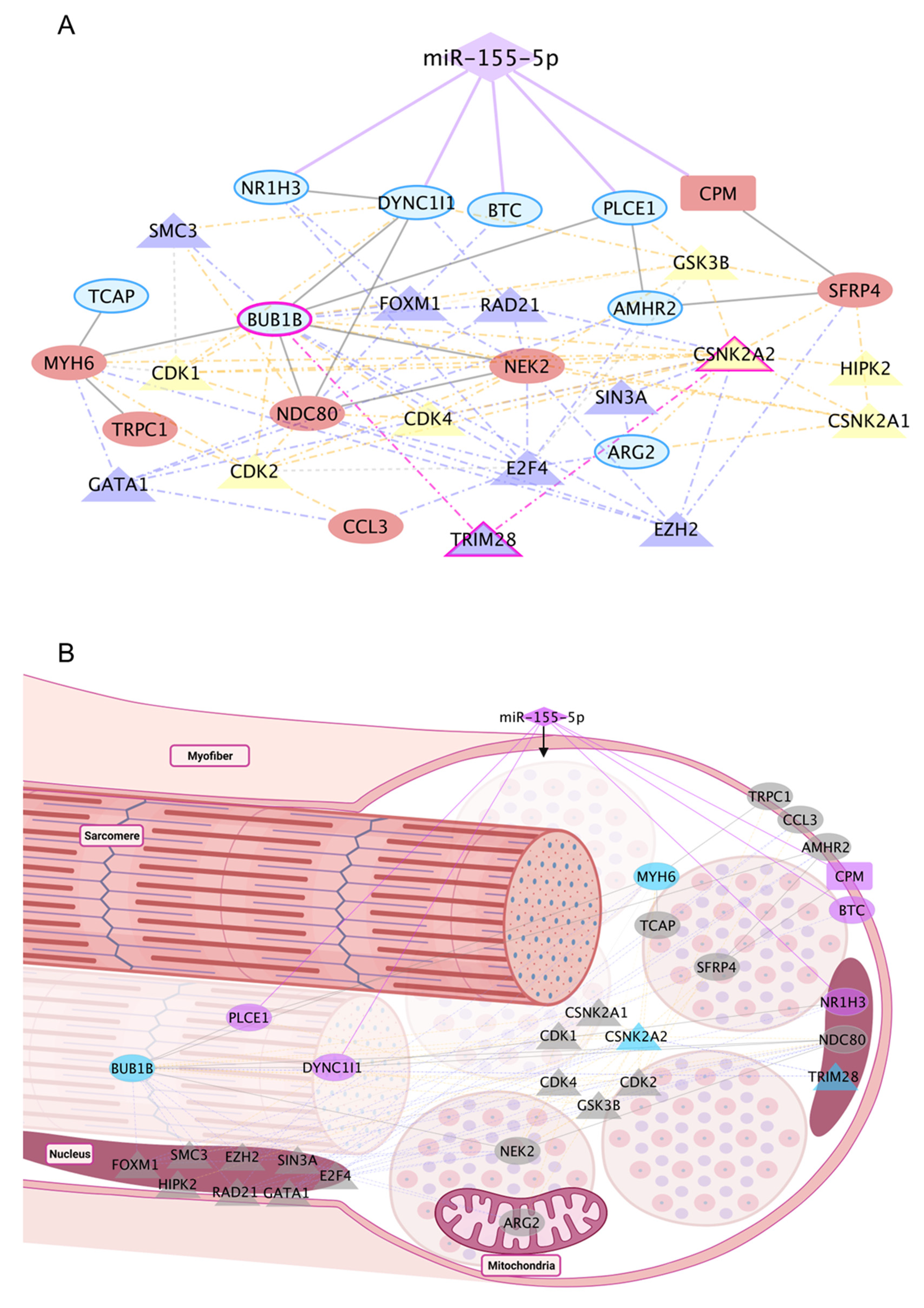 Ijms 25 01777 g005 Ijms 25 01777 g005