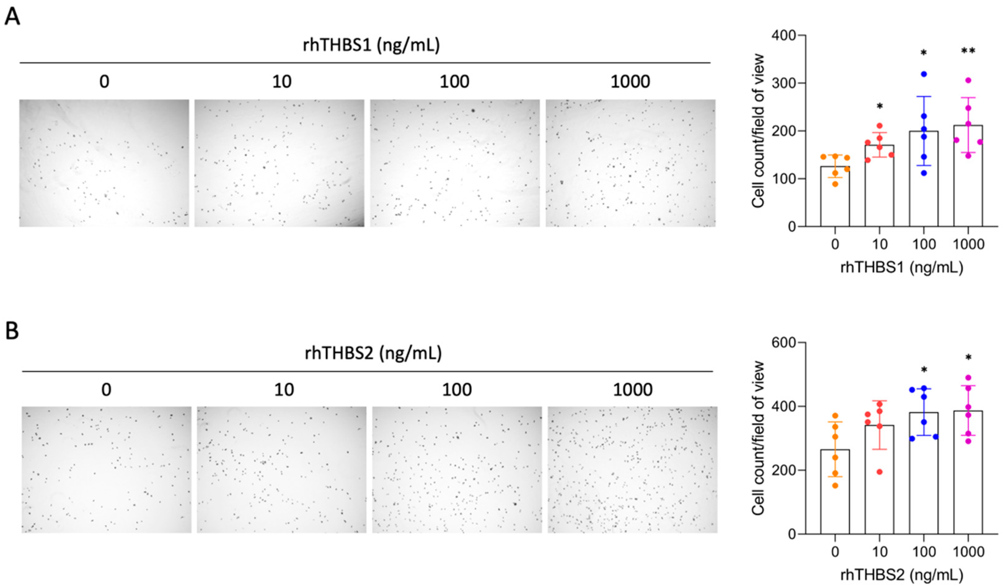Ijms 25 01782 g002