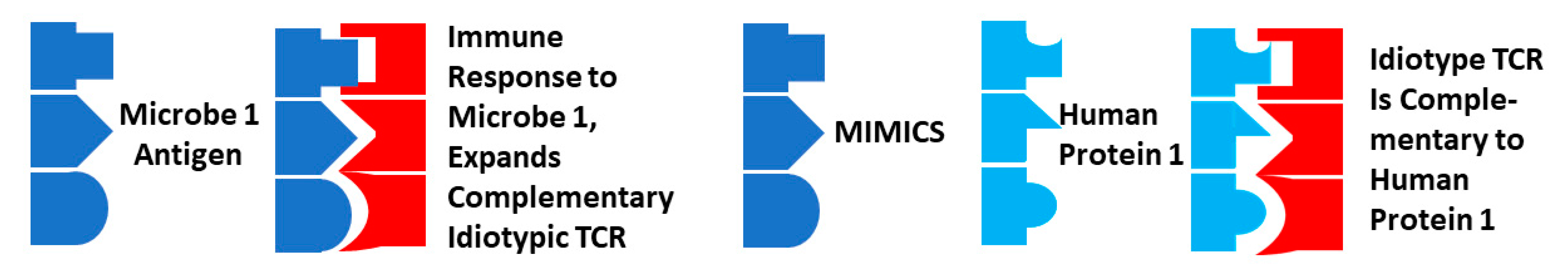 Ijms 25 01797 g014 Ijms 25 01797 g014