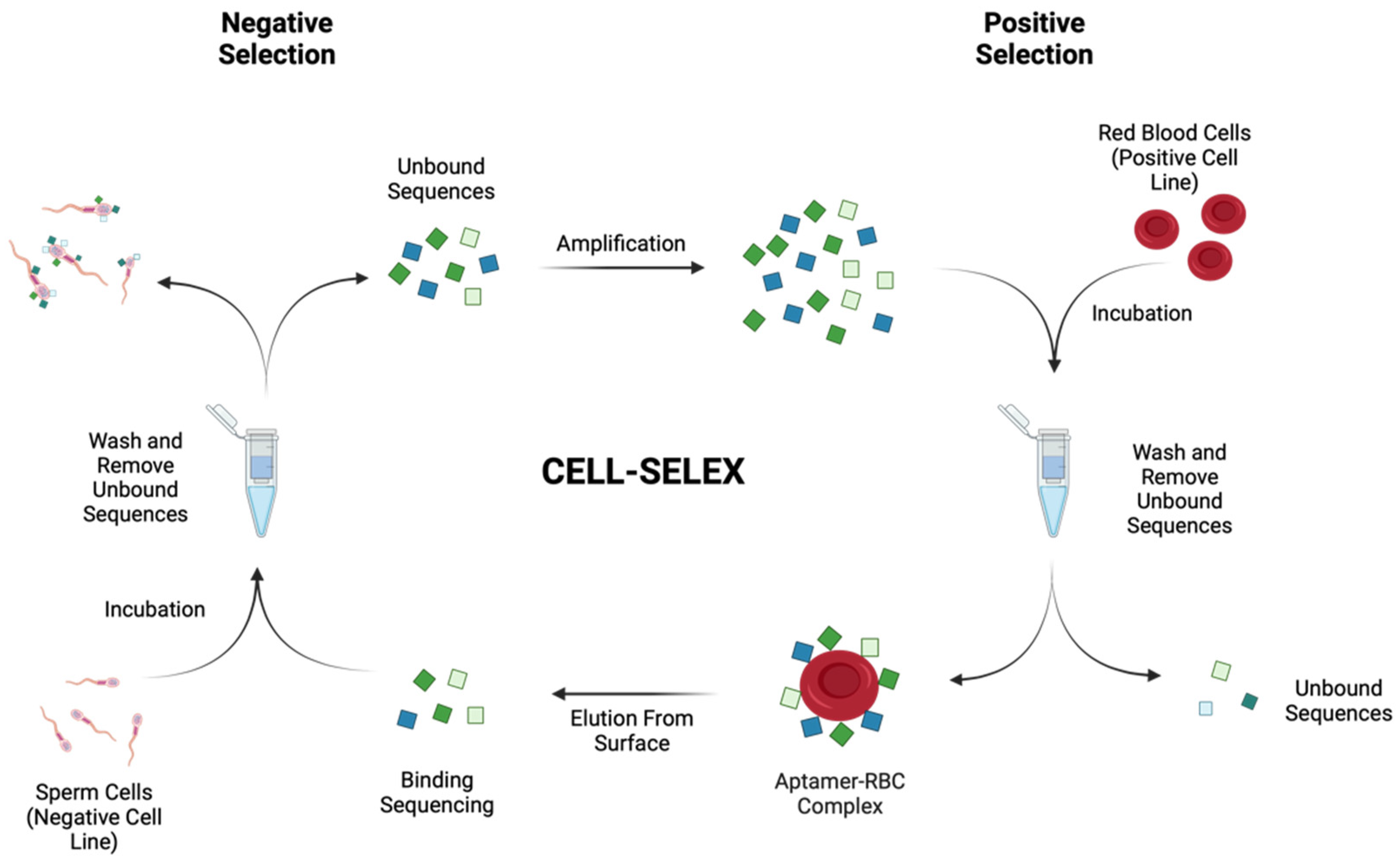 Ijms 25 01814 sch001