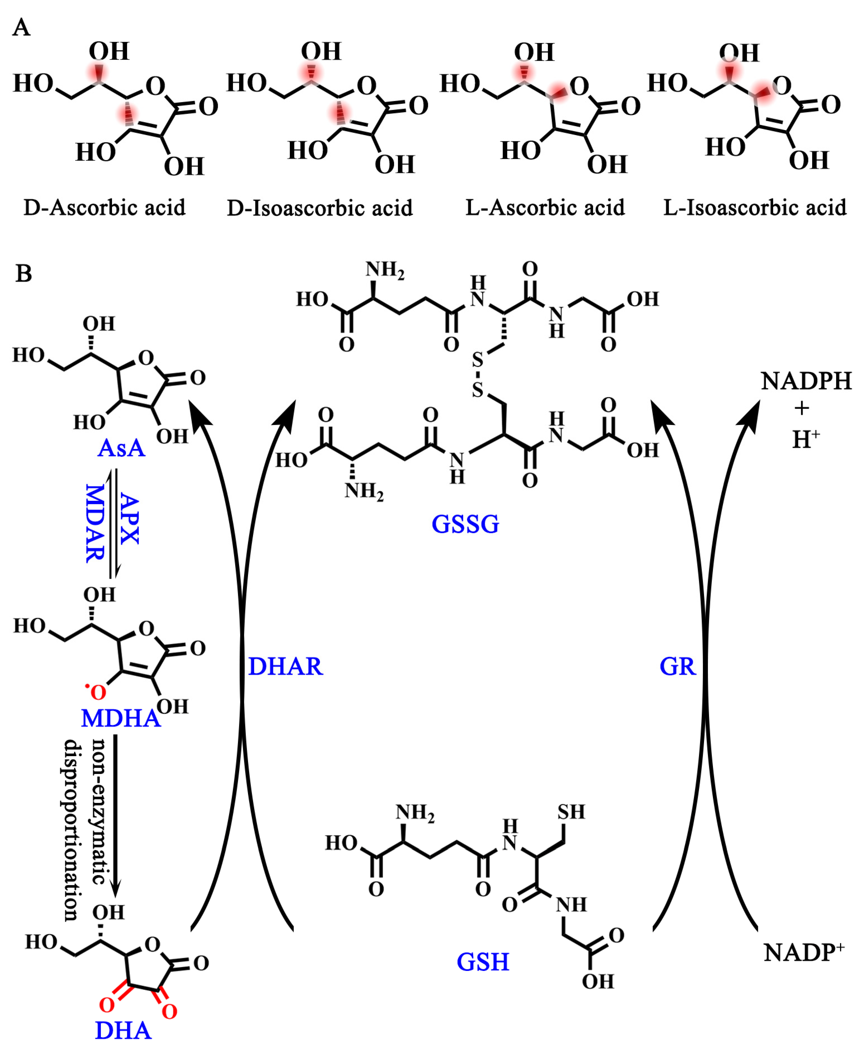 Ijms 25 01832 g001 Ijms 25 01832 g001