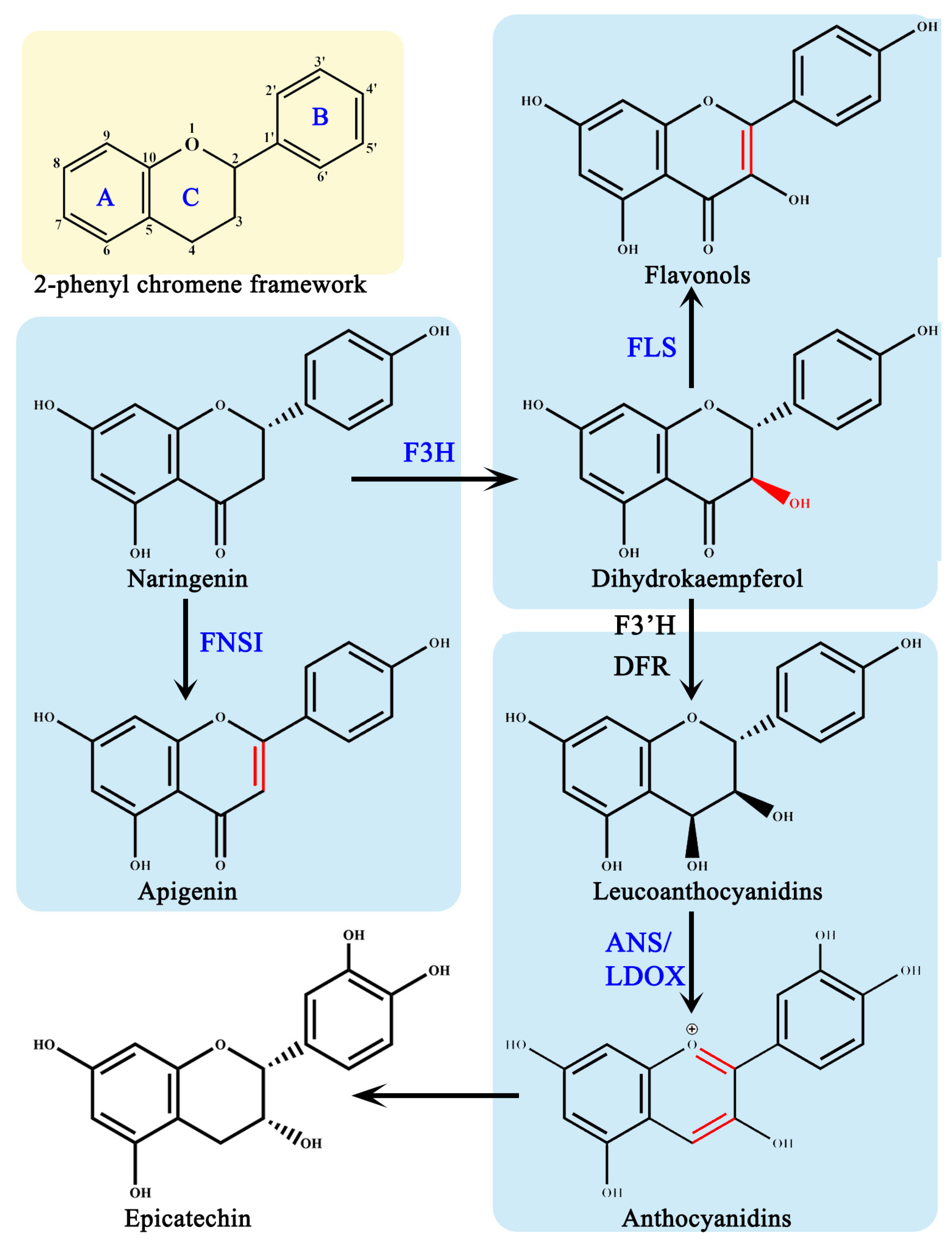 Ijms 25 01832 g002 Ijms 25 01832 g002