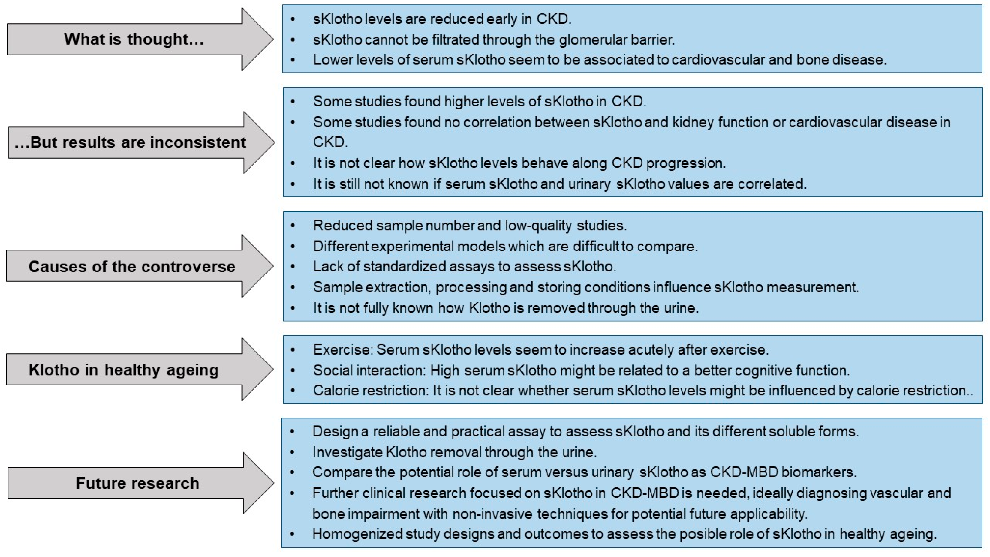 Ijms 25 01843 g001 Ijms 25 01843 g001