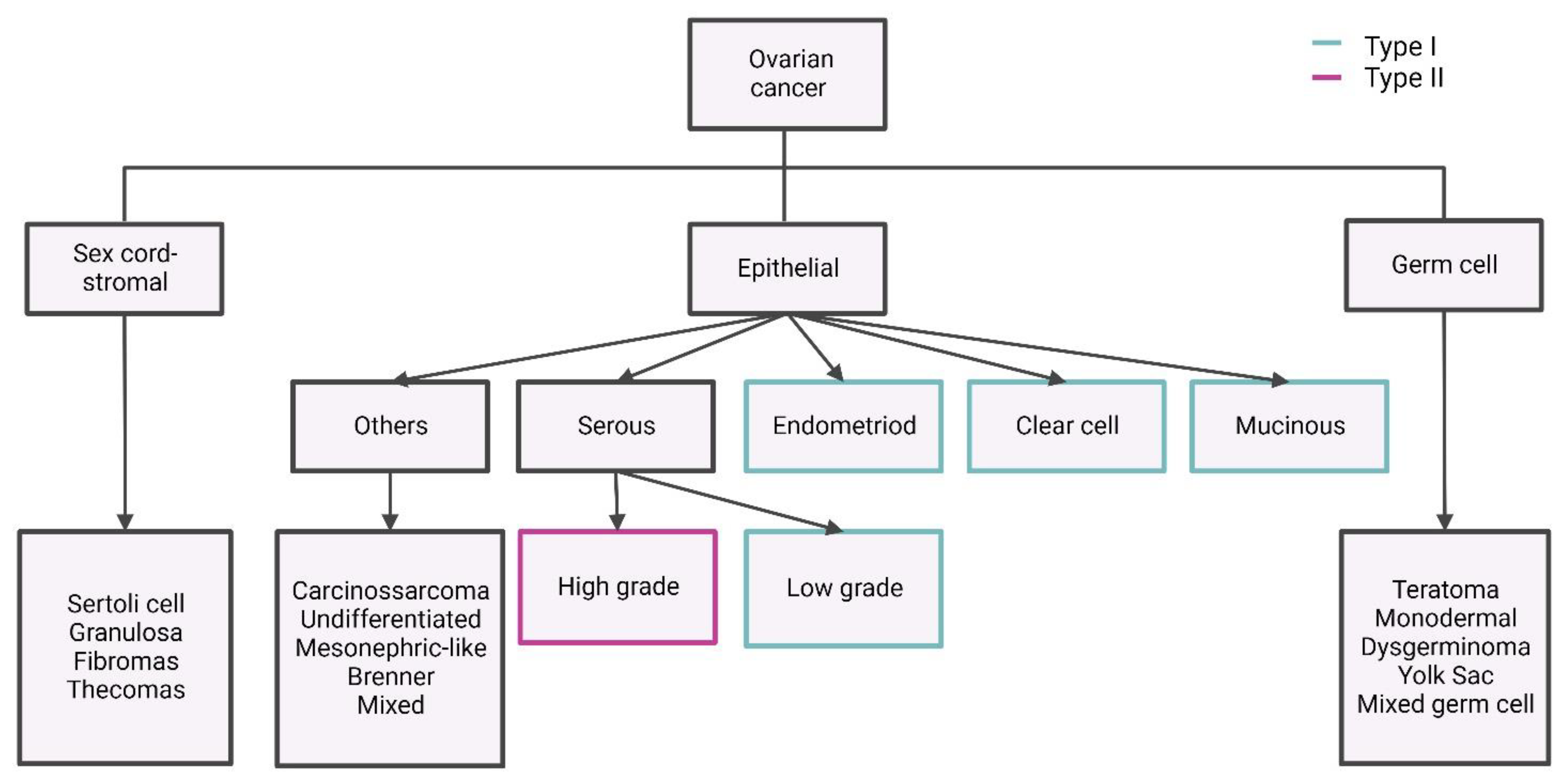 Ijms 25 01845 g001 Ijms 25 01845 g001