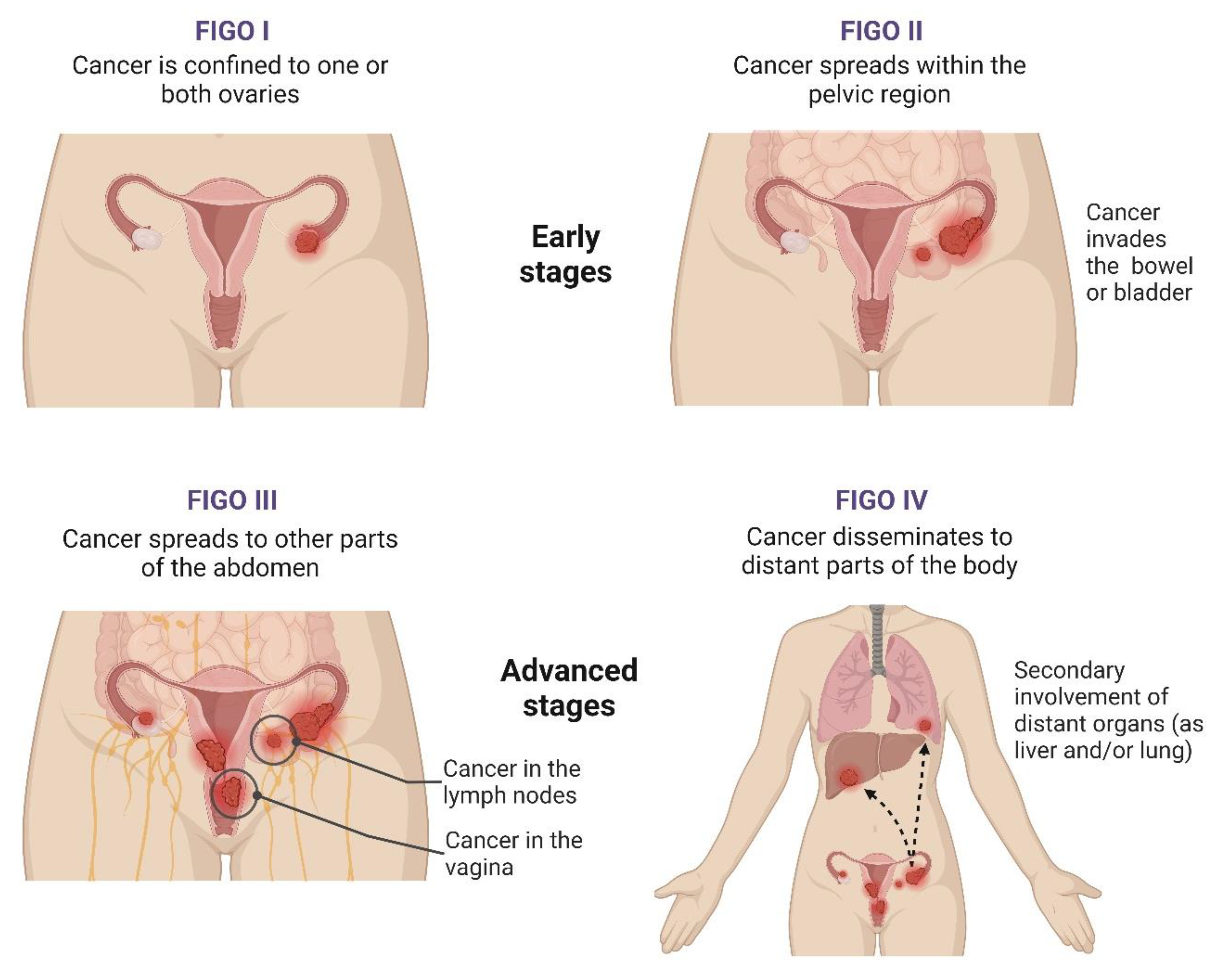 Ijms 25 01845 g002 Ijms 25 01845 g002