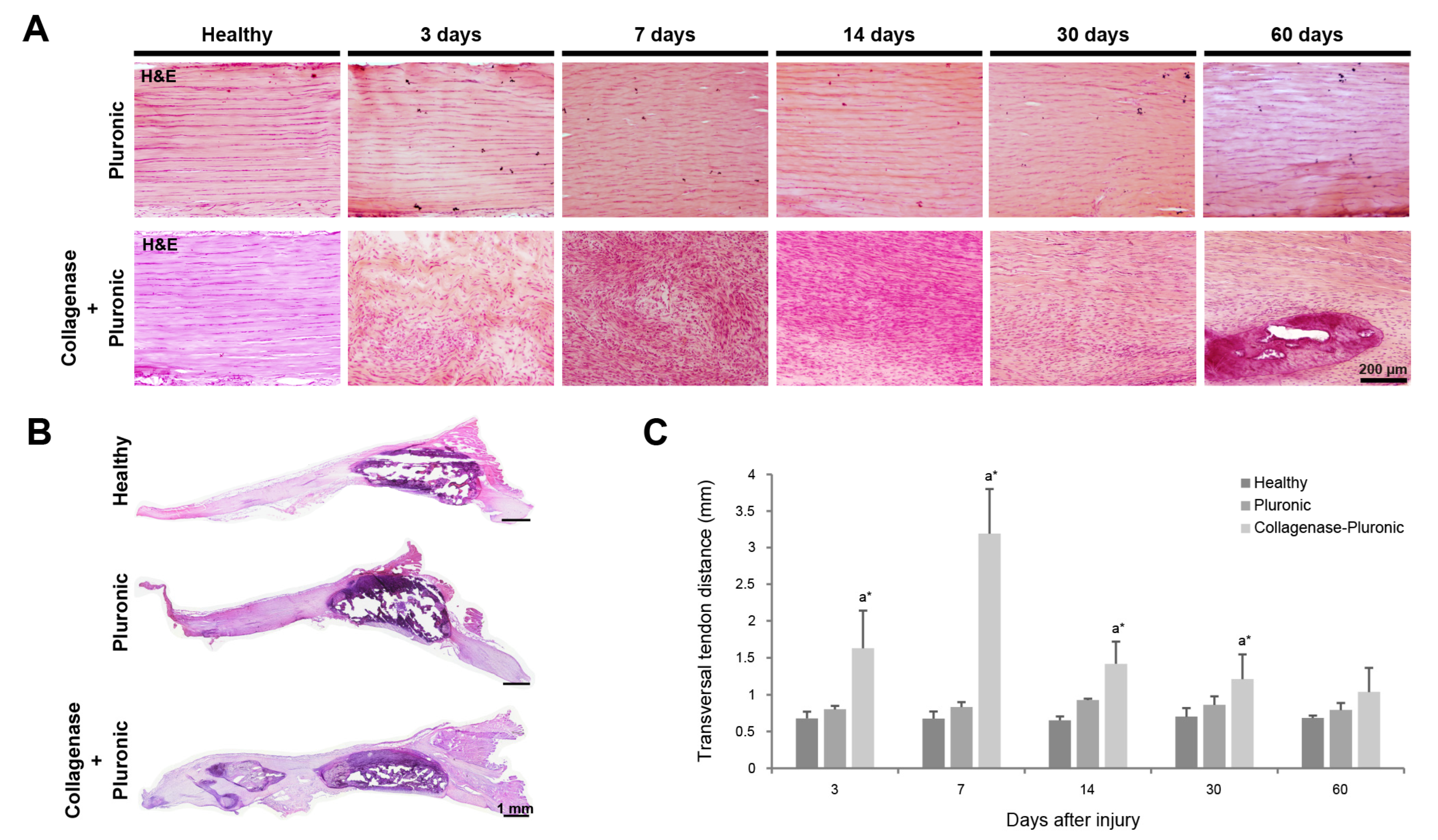 Ijms 25 01868 g001 Ijms 25 01868 g001