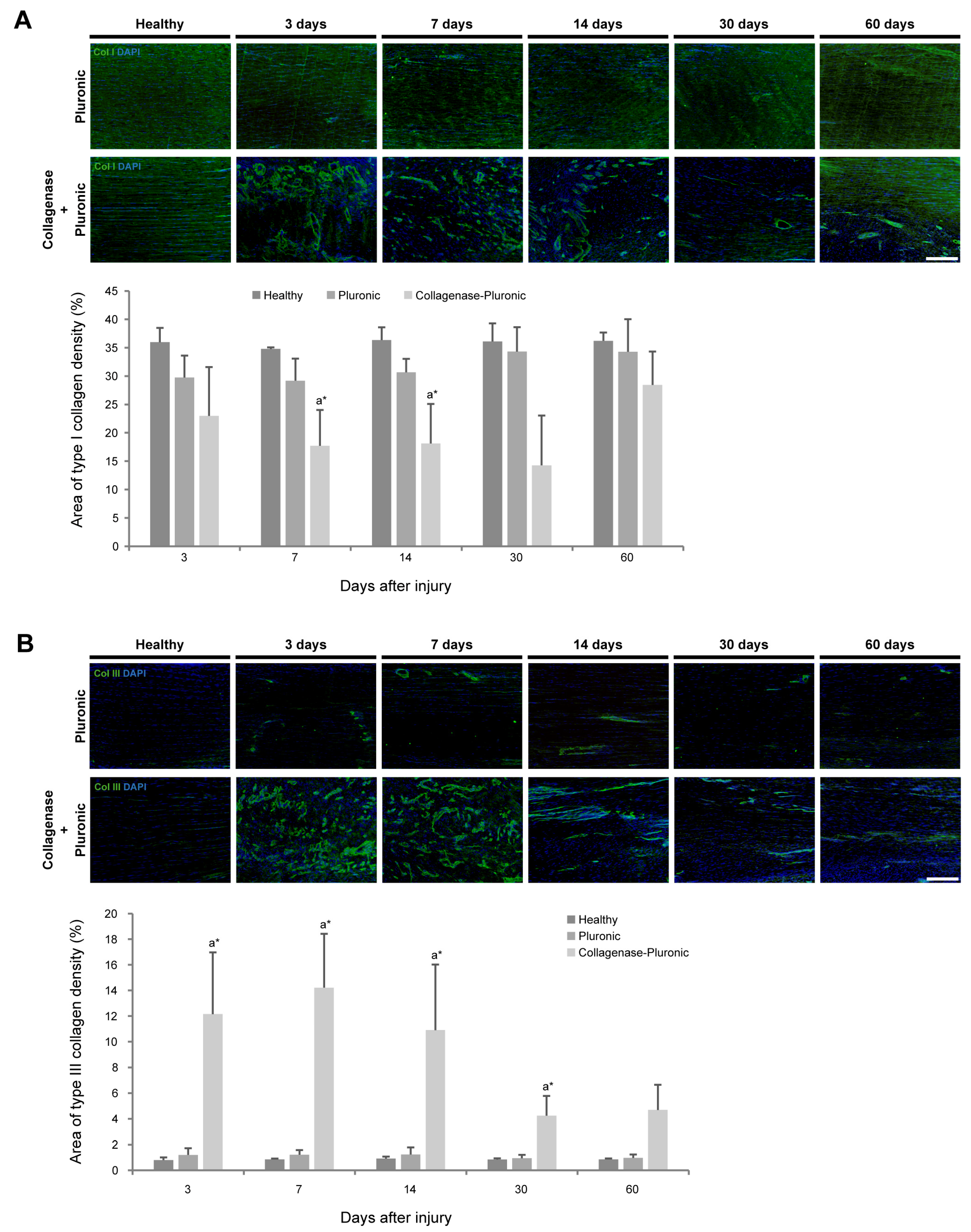 Ijms 25 01868 g002 Ijms 25 01868 g002