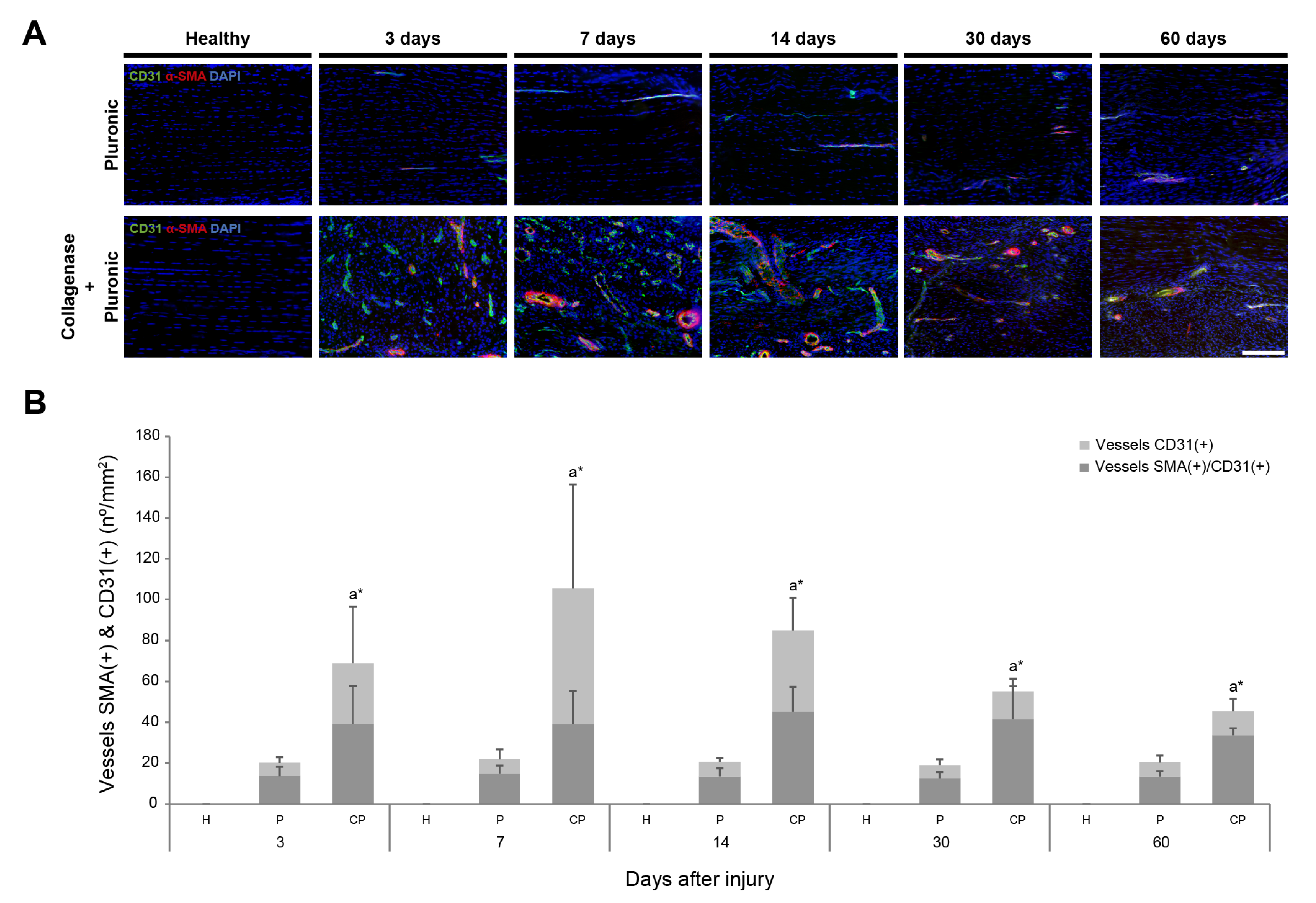 Ijms 25 01868 g003 Ijms 25 01868 g003