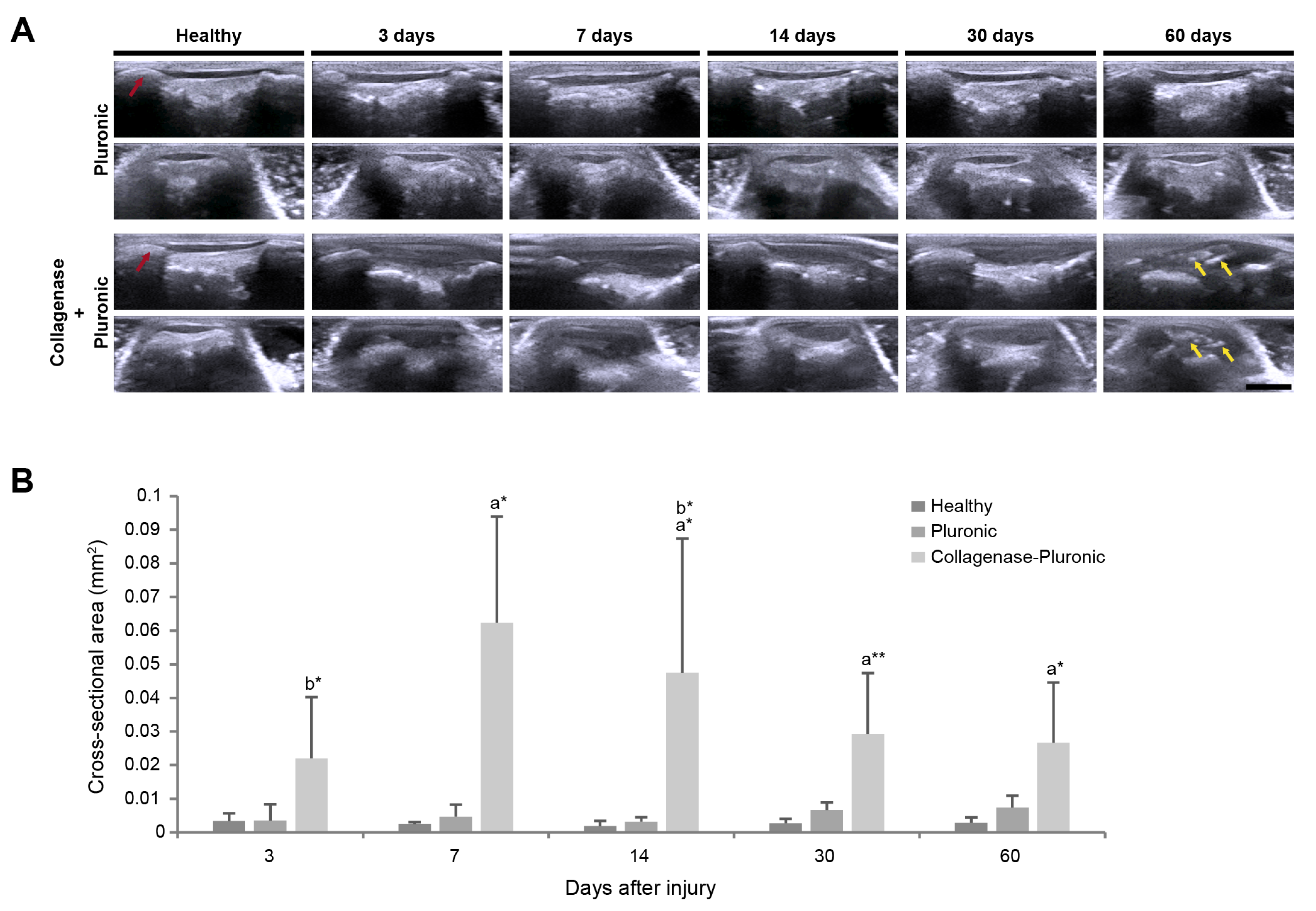 Ijms 25 01868 g005 Ijms 25 01868 g005