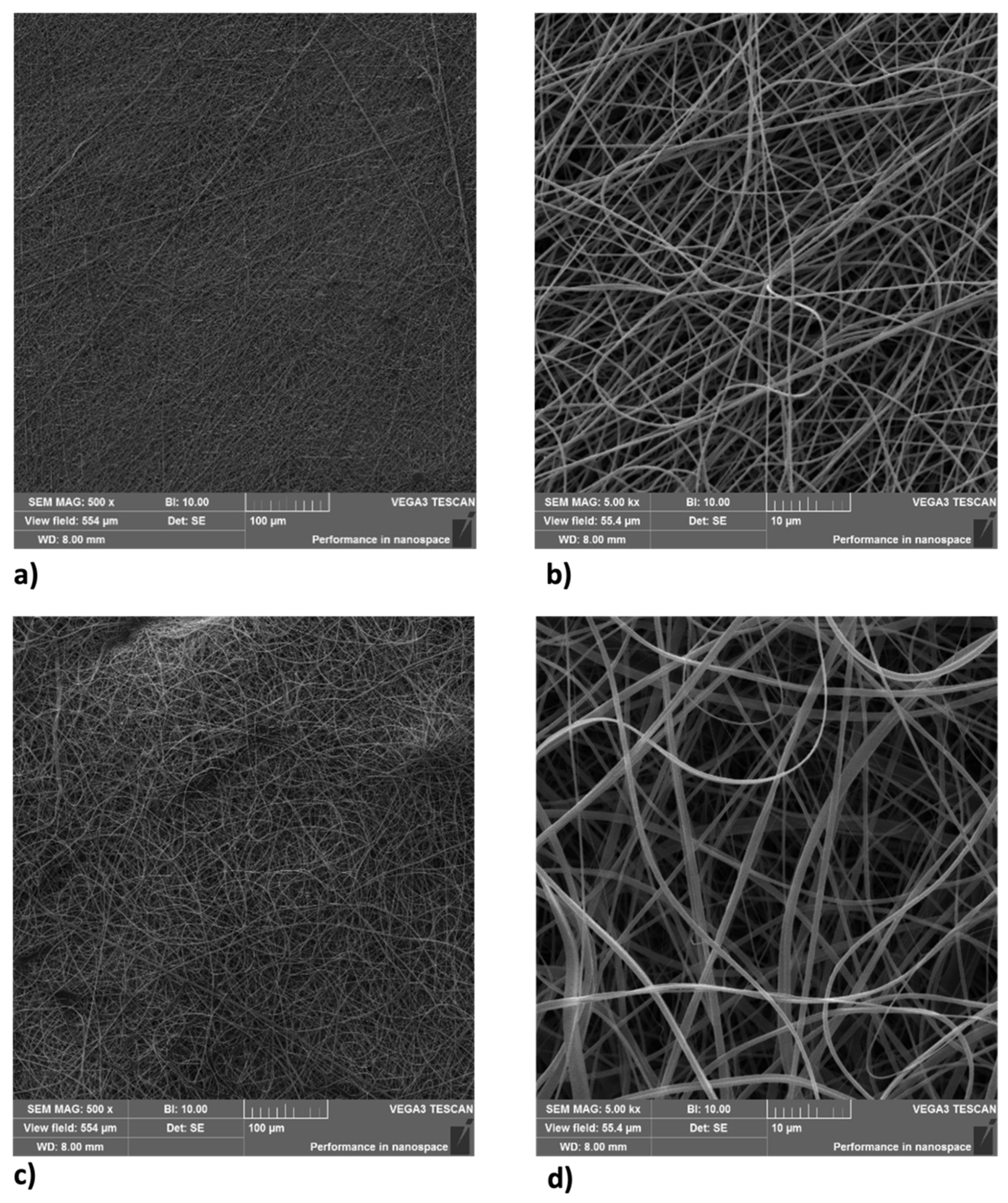 Ijms 25 01908 g001 Ijms 25 01908 g001