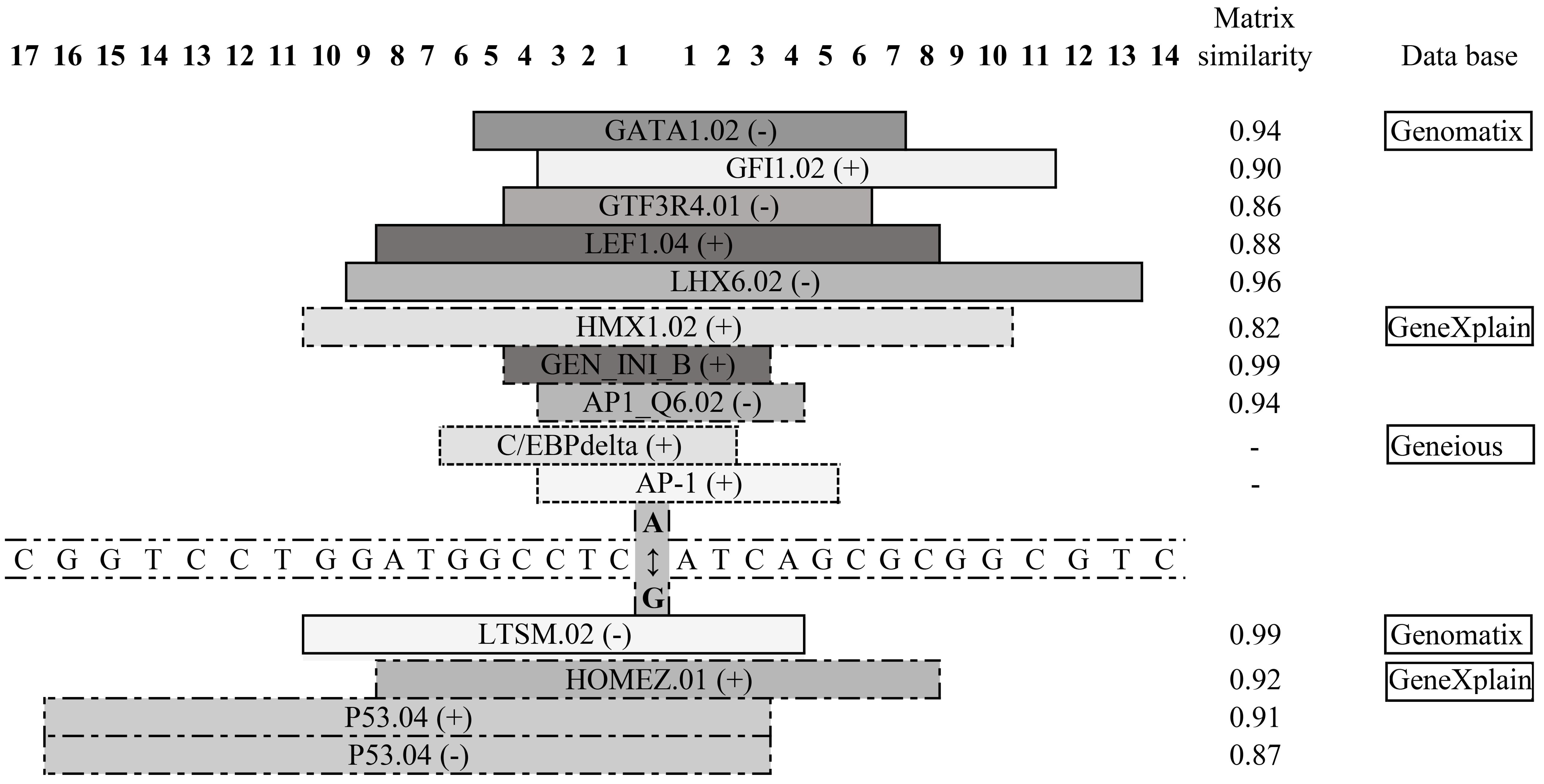 Ijms 25 01943 g004 Ijms 25 01943 g004