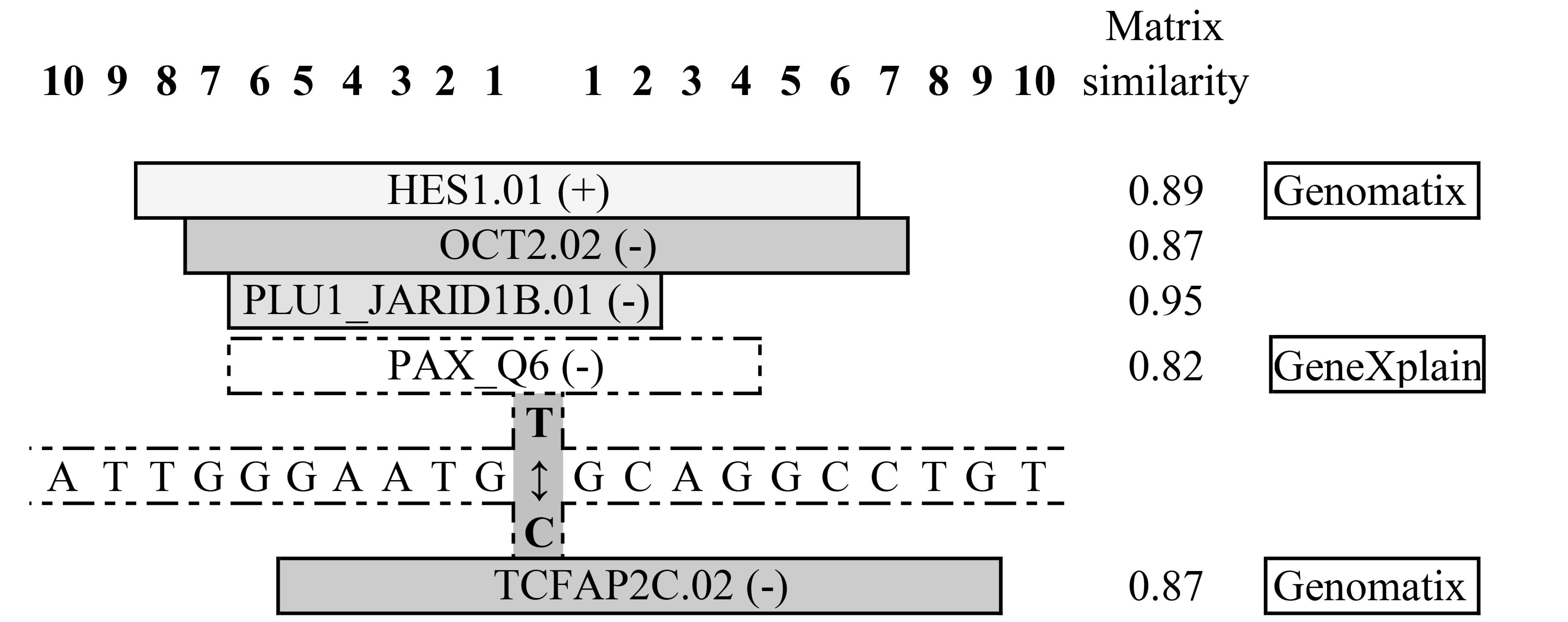 Ijms 25 01943 g005 Ijms 25 01943 g005