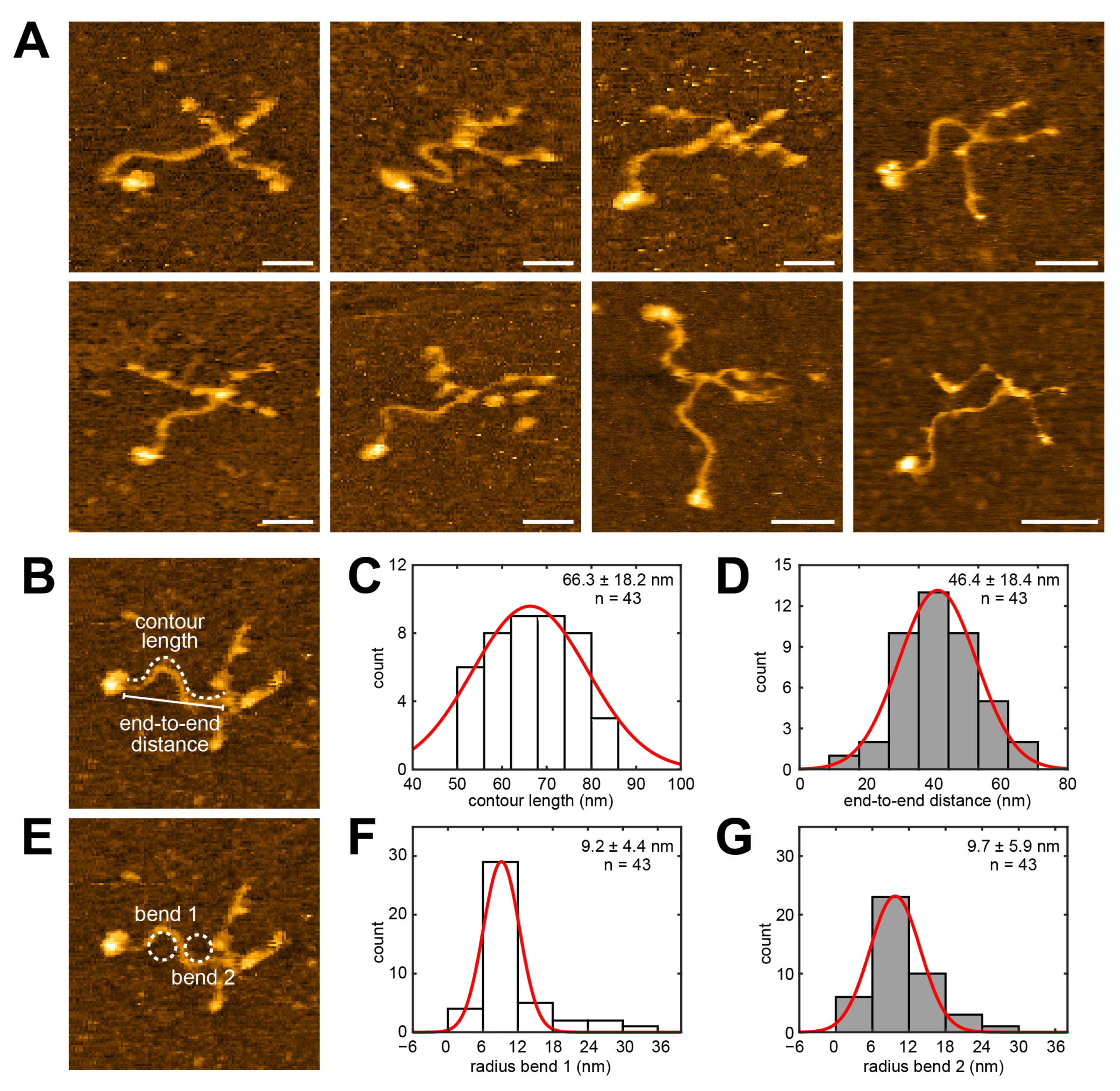 Ijms 25 01951 g002 Ijms 25 01951 g002