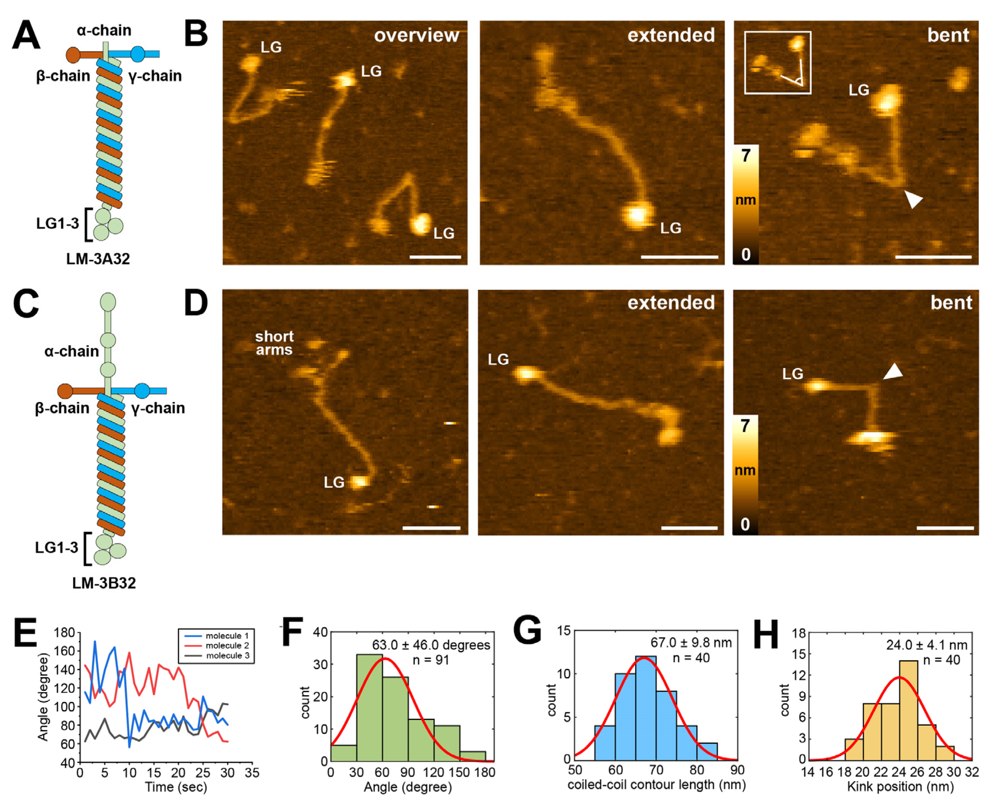 Ijms 25 01951 g004 Ijms 25 01951 g004