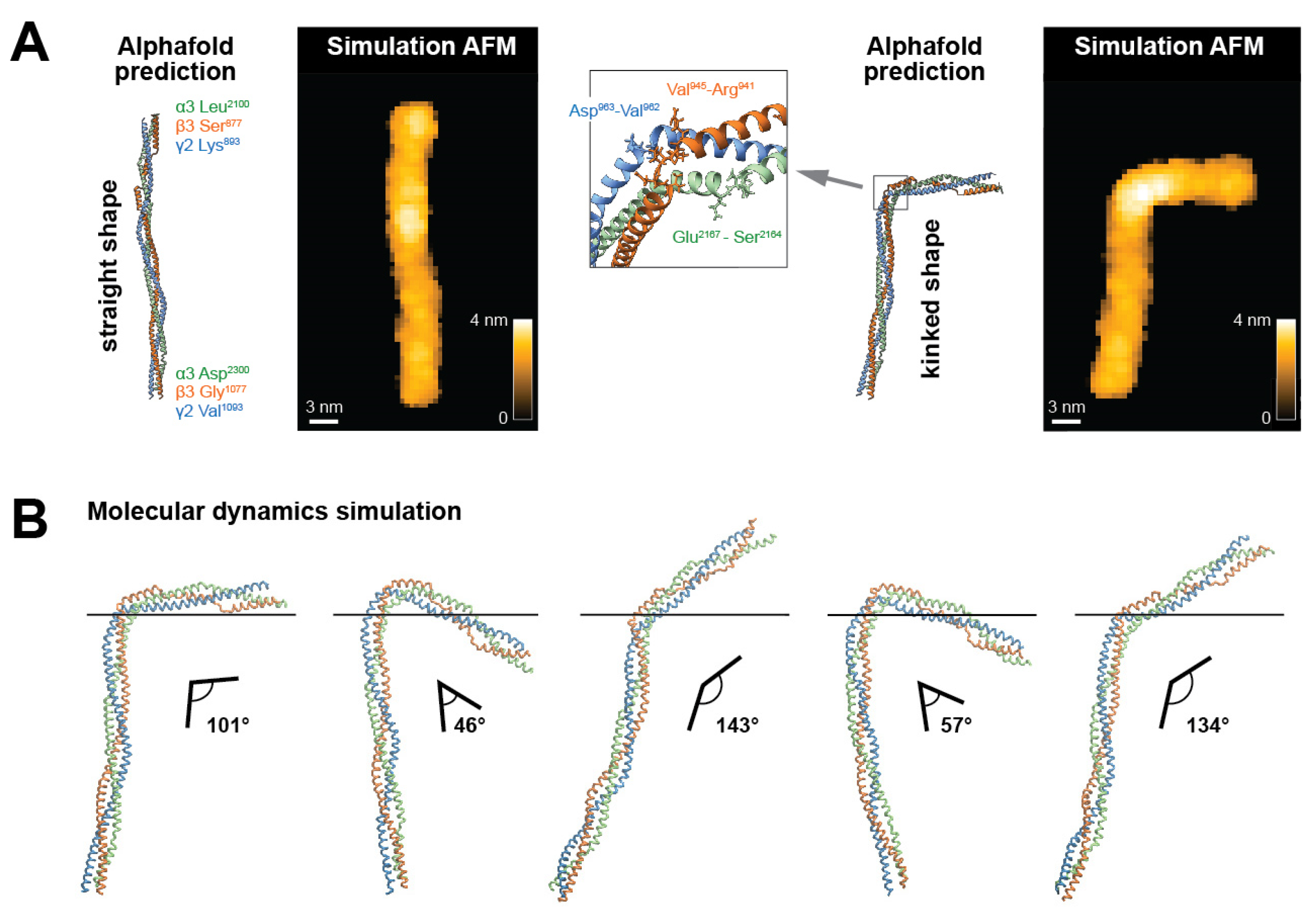 Ijms 25 01951 g006 Ijms 25 01951 g006