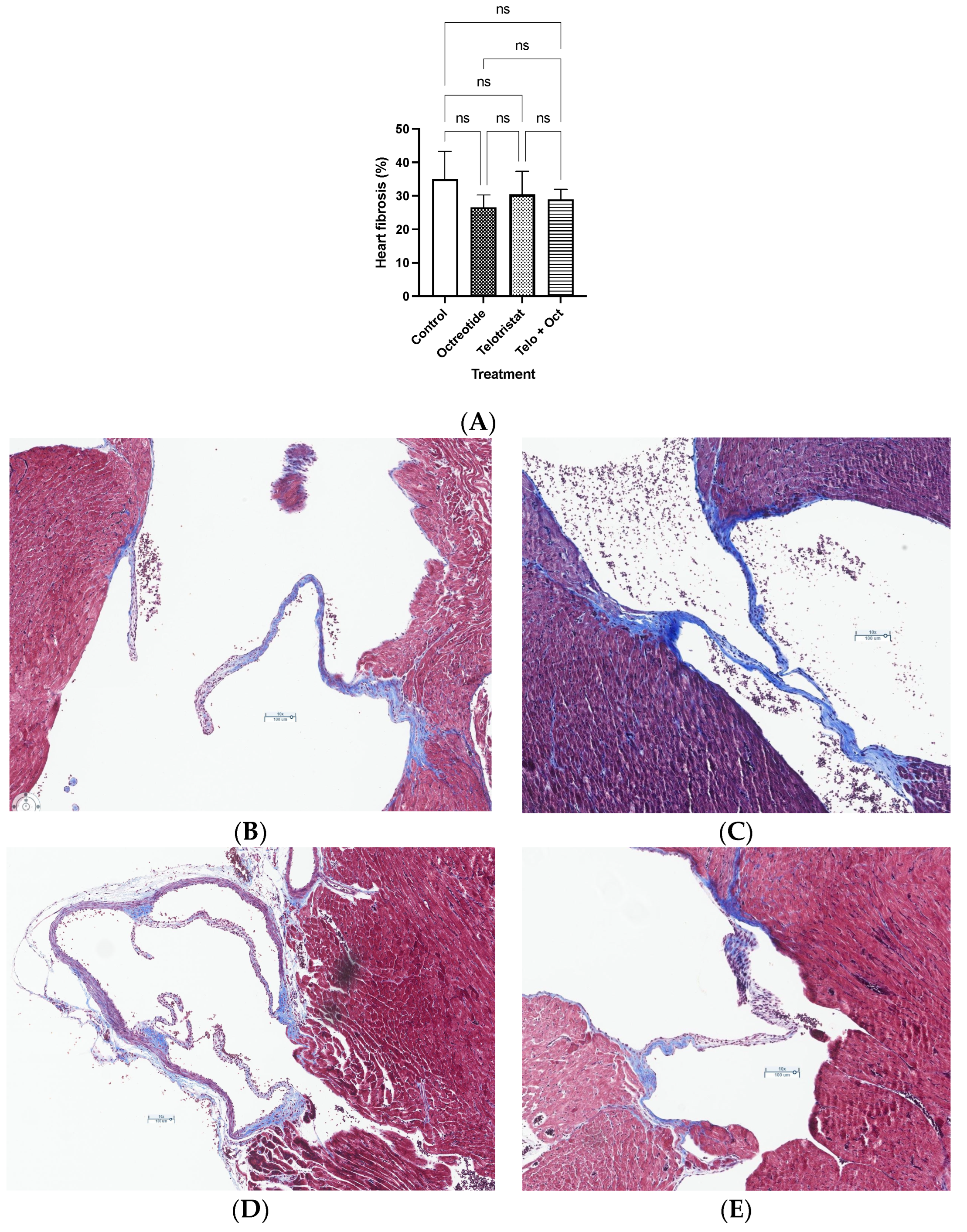 Ijms 25 02036 g006
